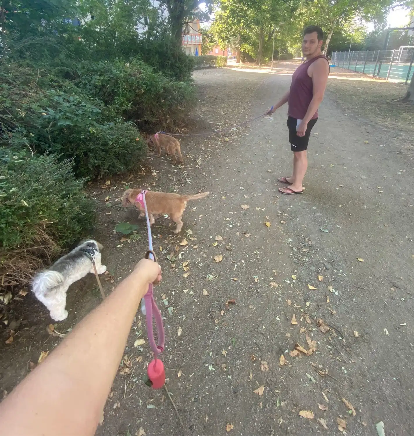 image-7