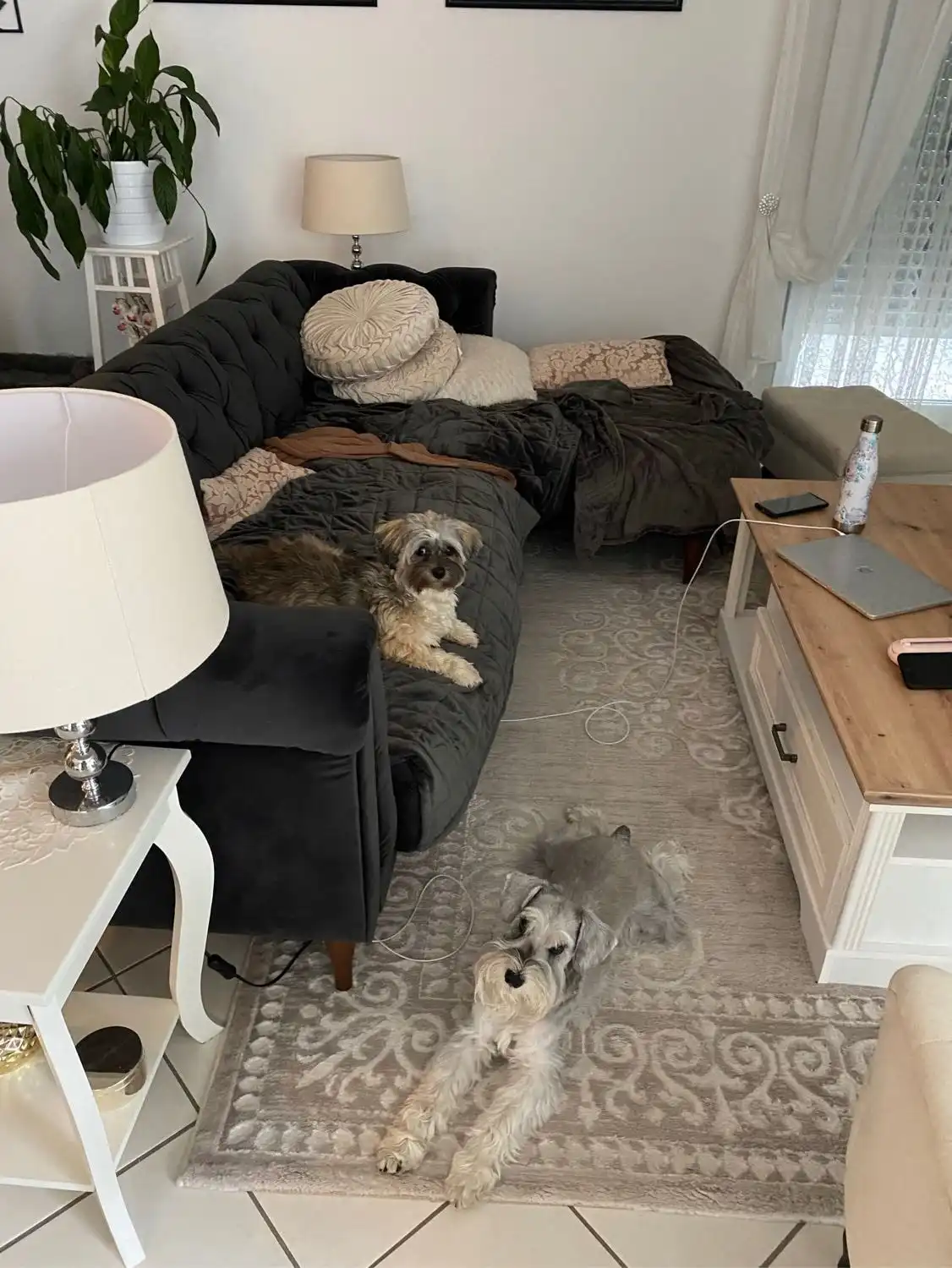 image-13