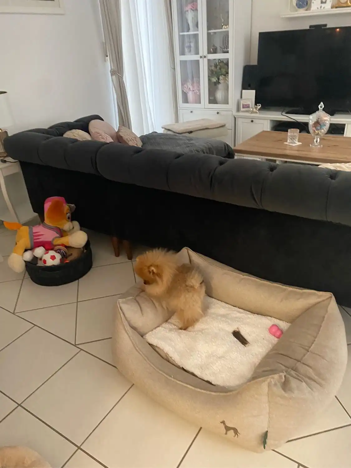 image-16
