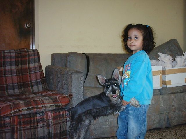 image-7