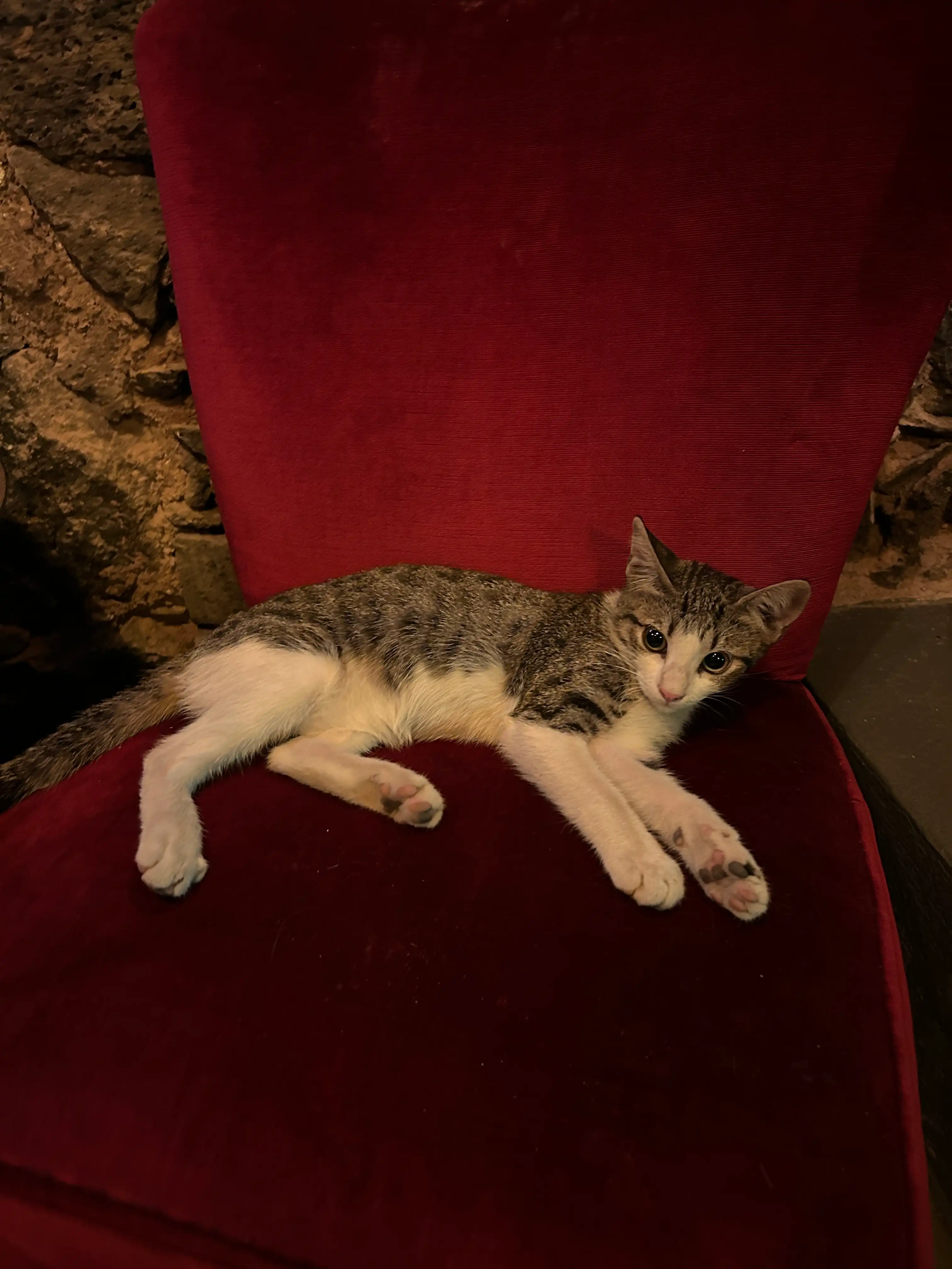 image-10