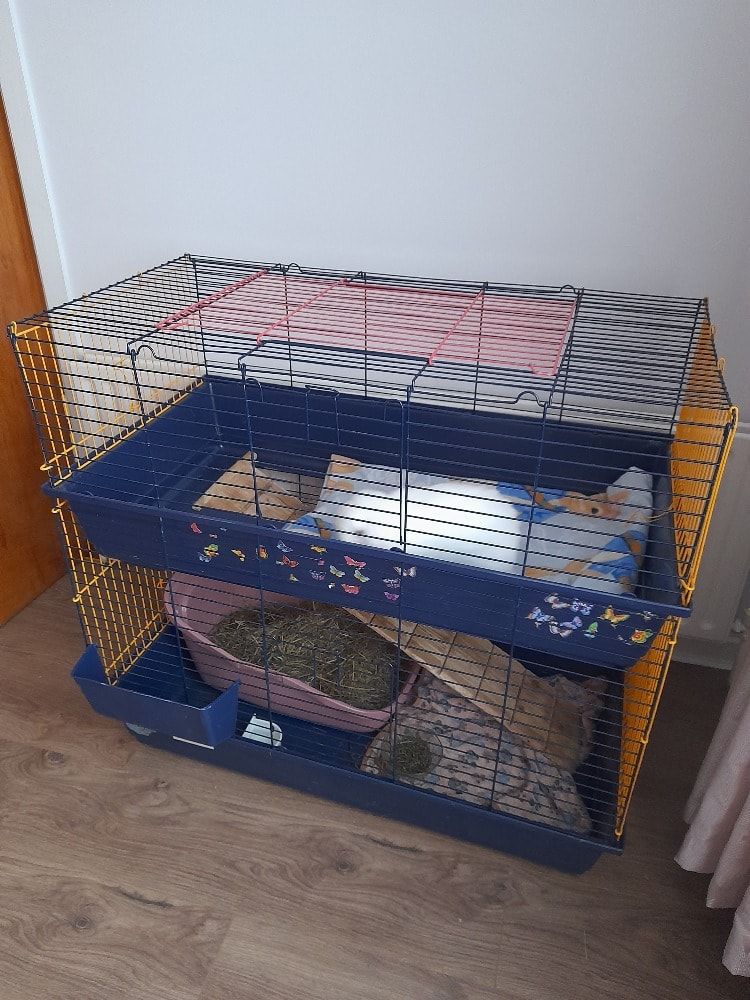 image-1