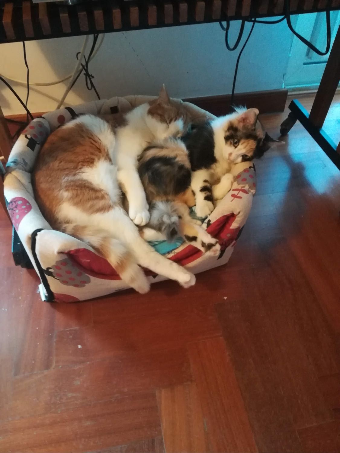 image-13