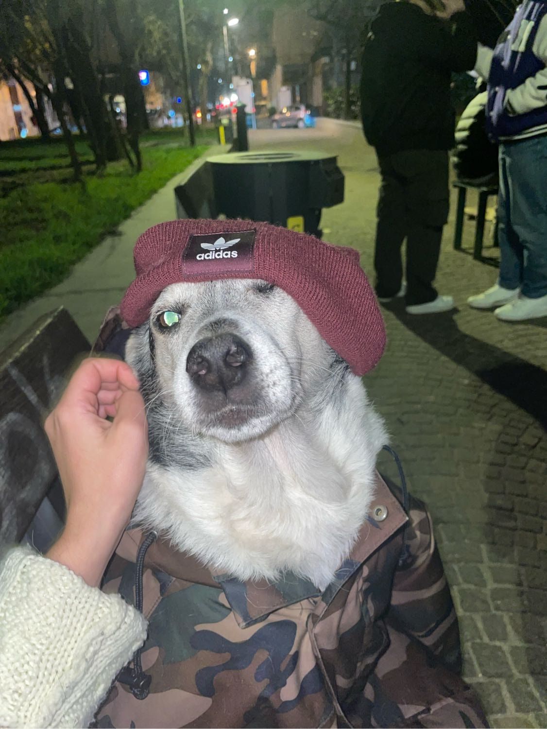 image-5