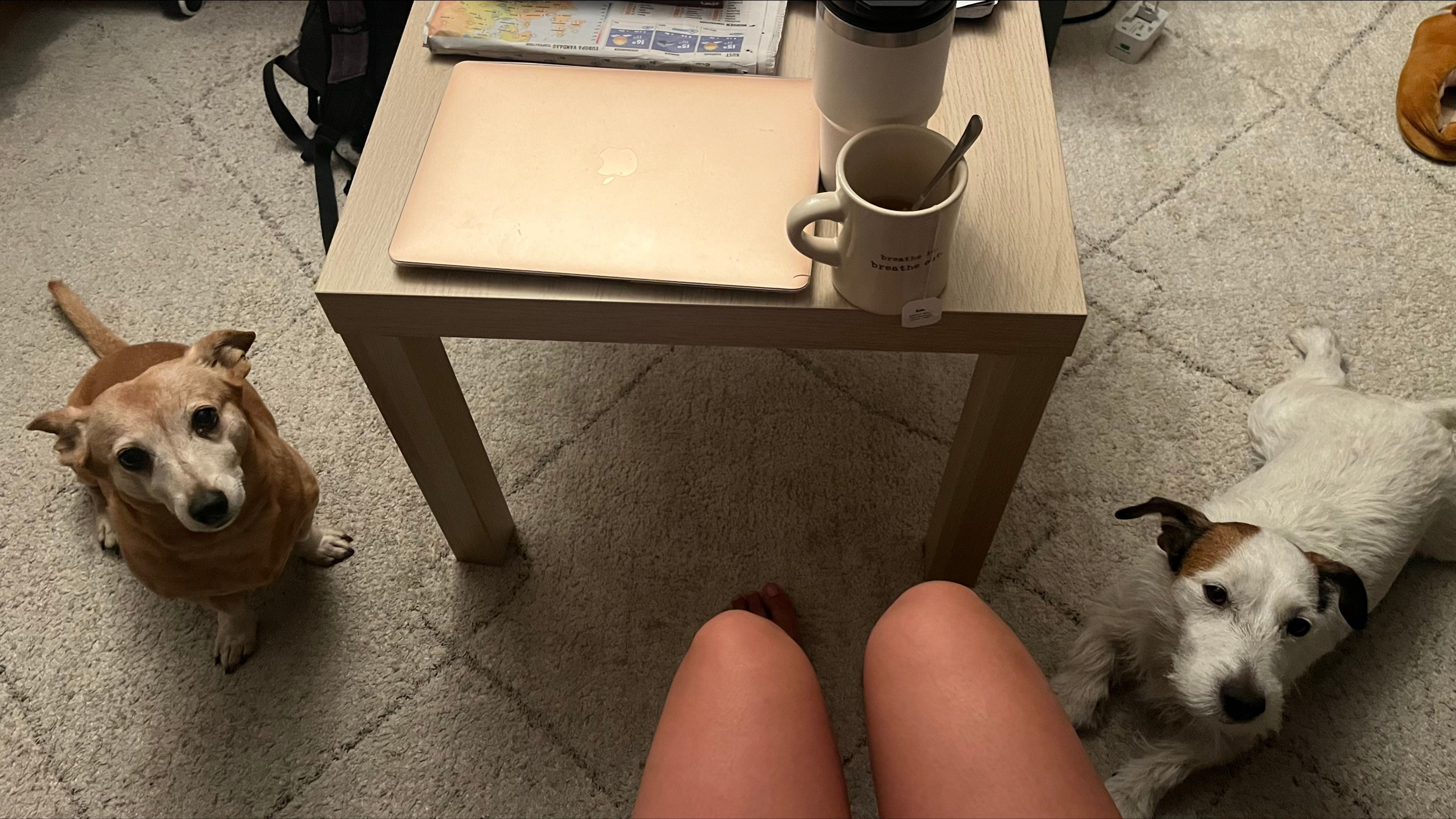 image-13