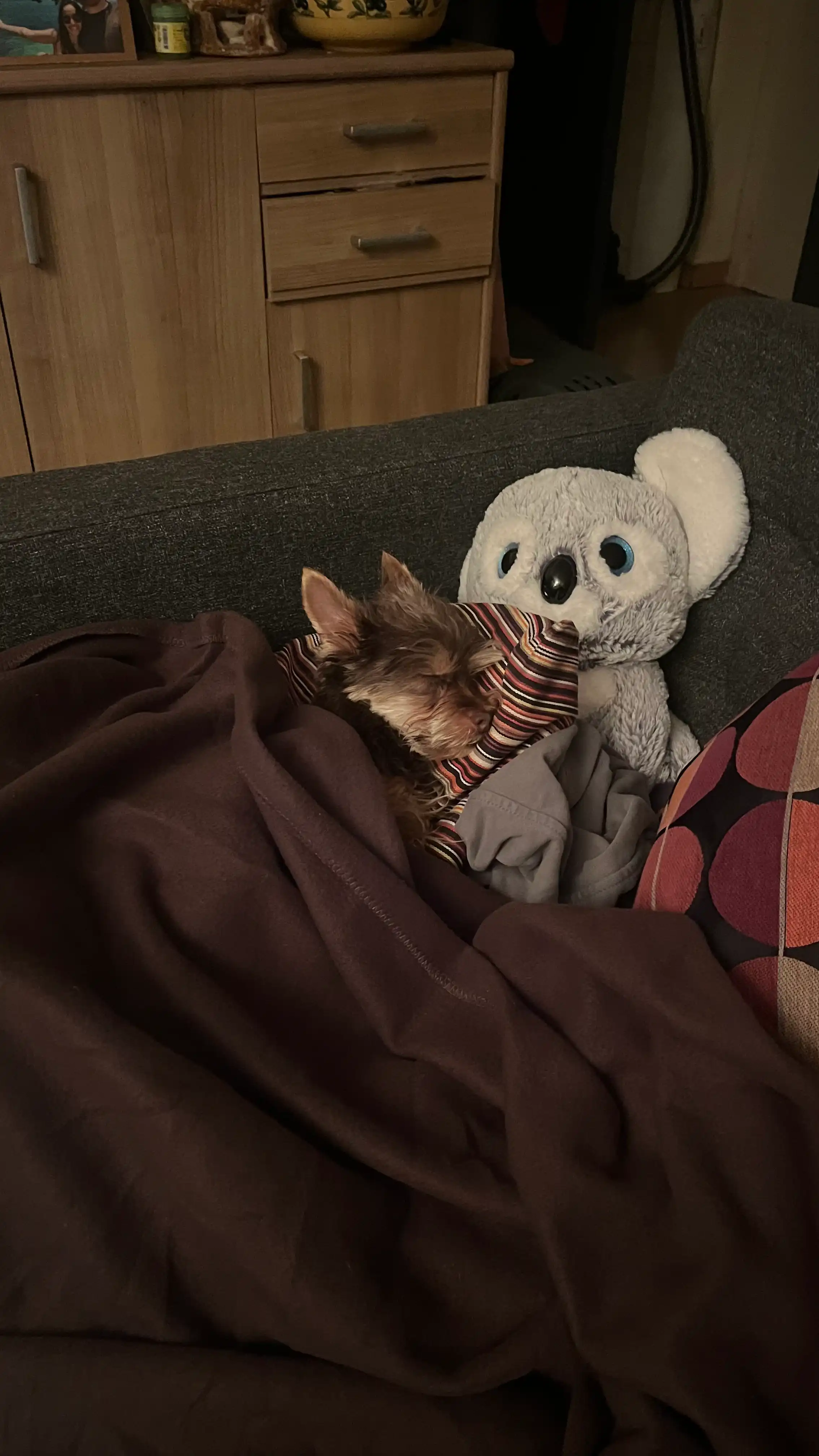 image-14