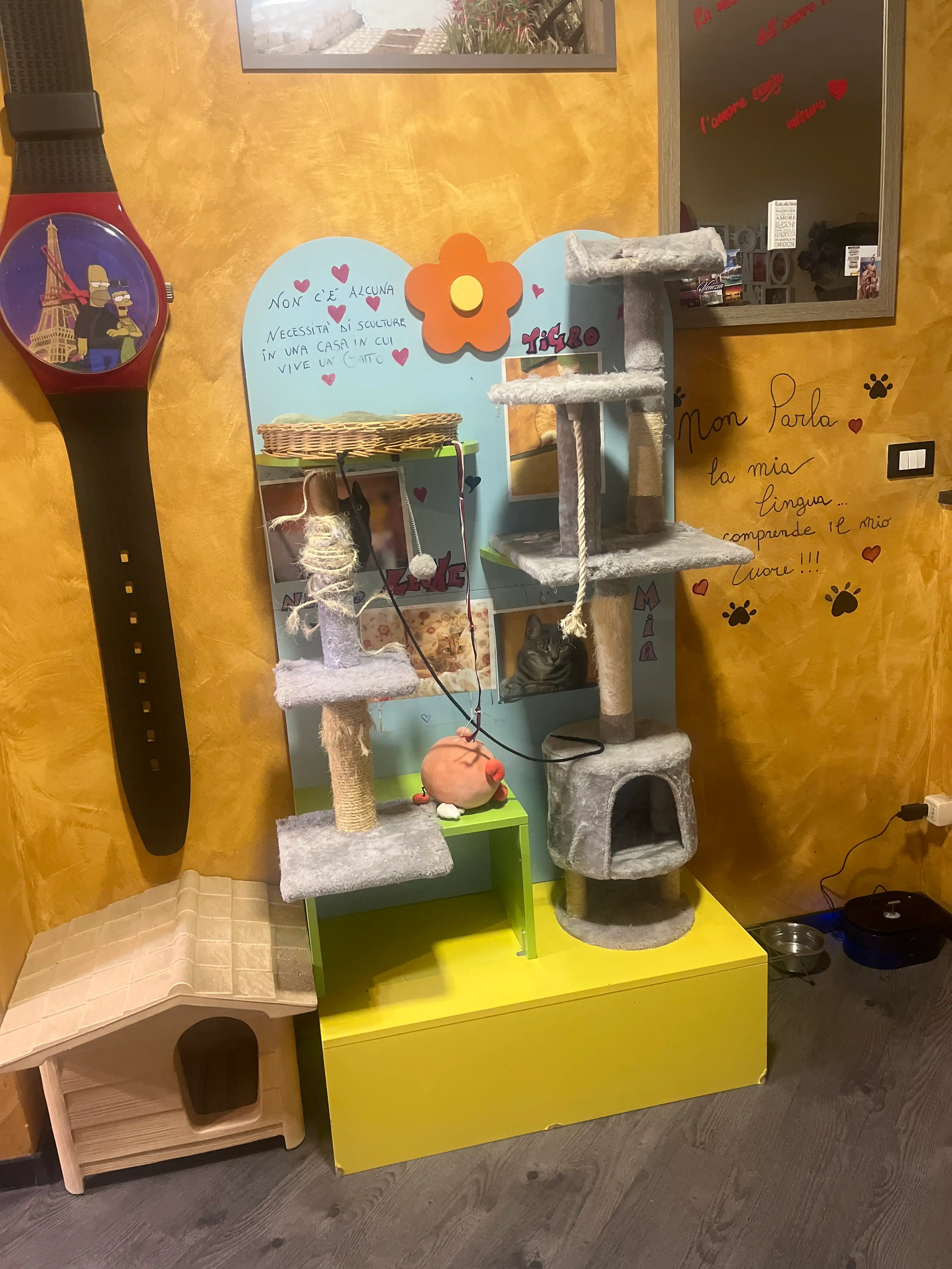 image-9