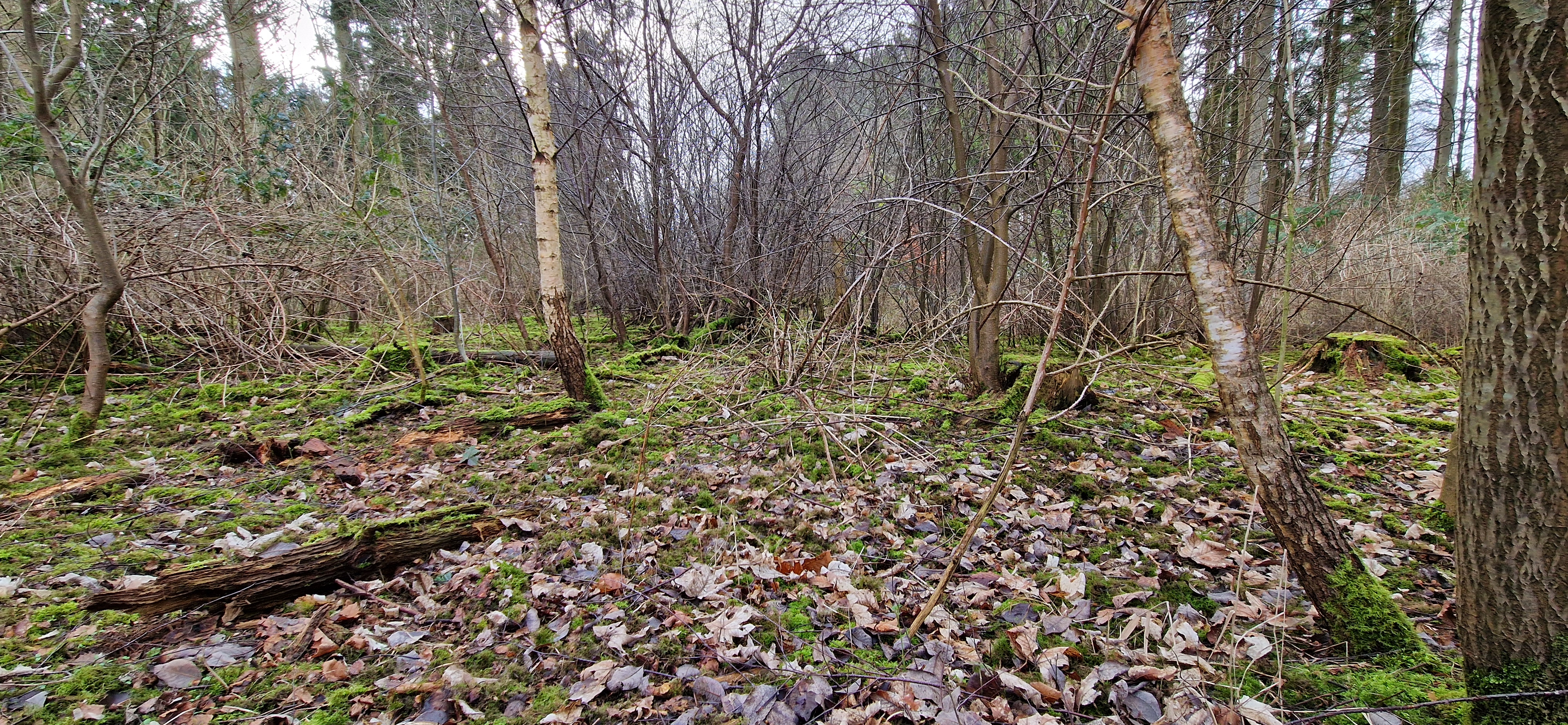 image-13