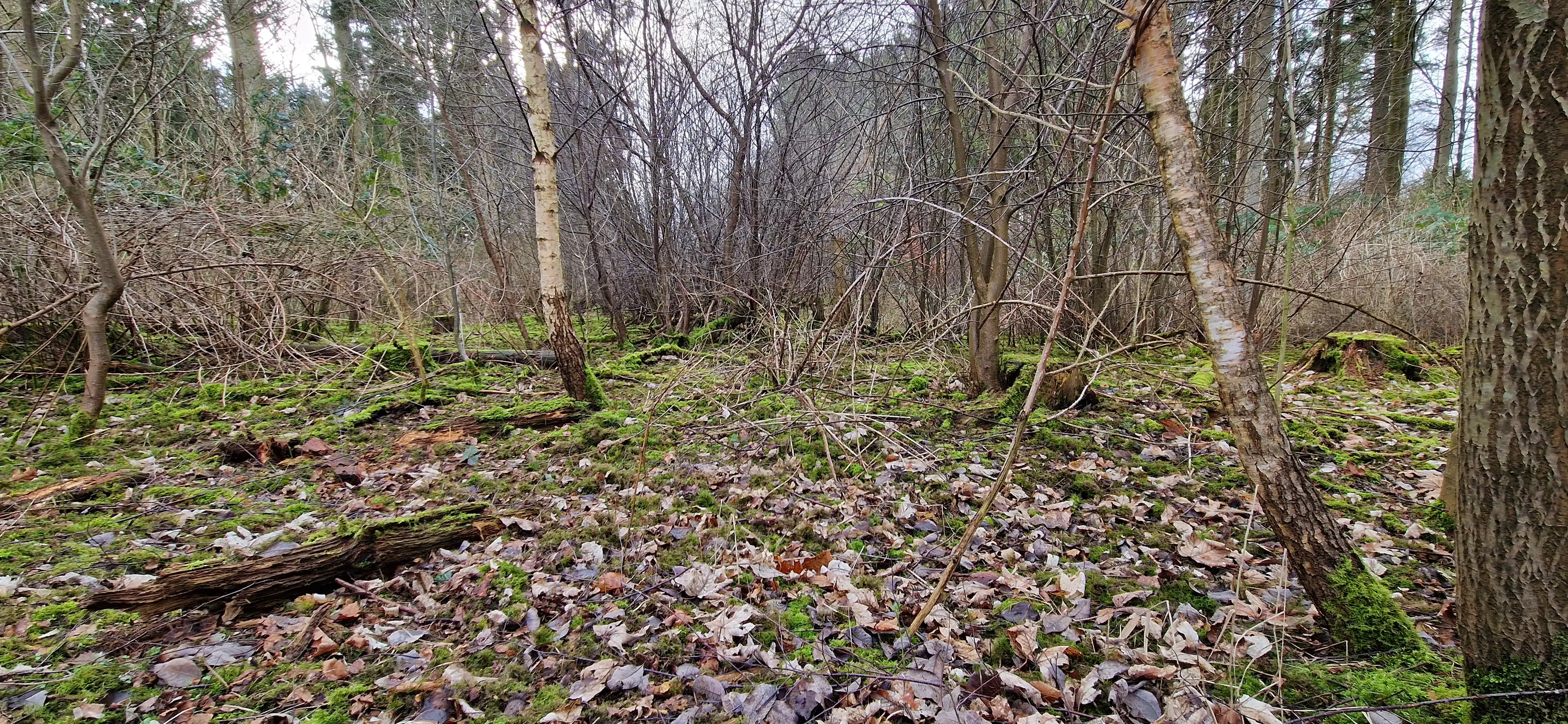 image-13