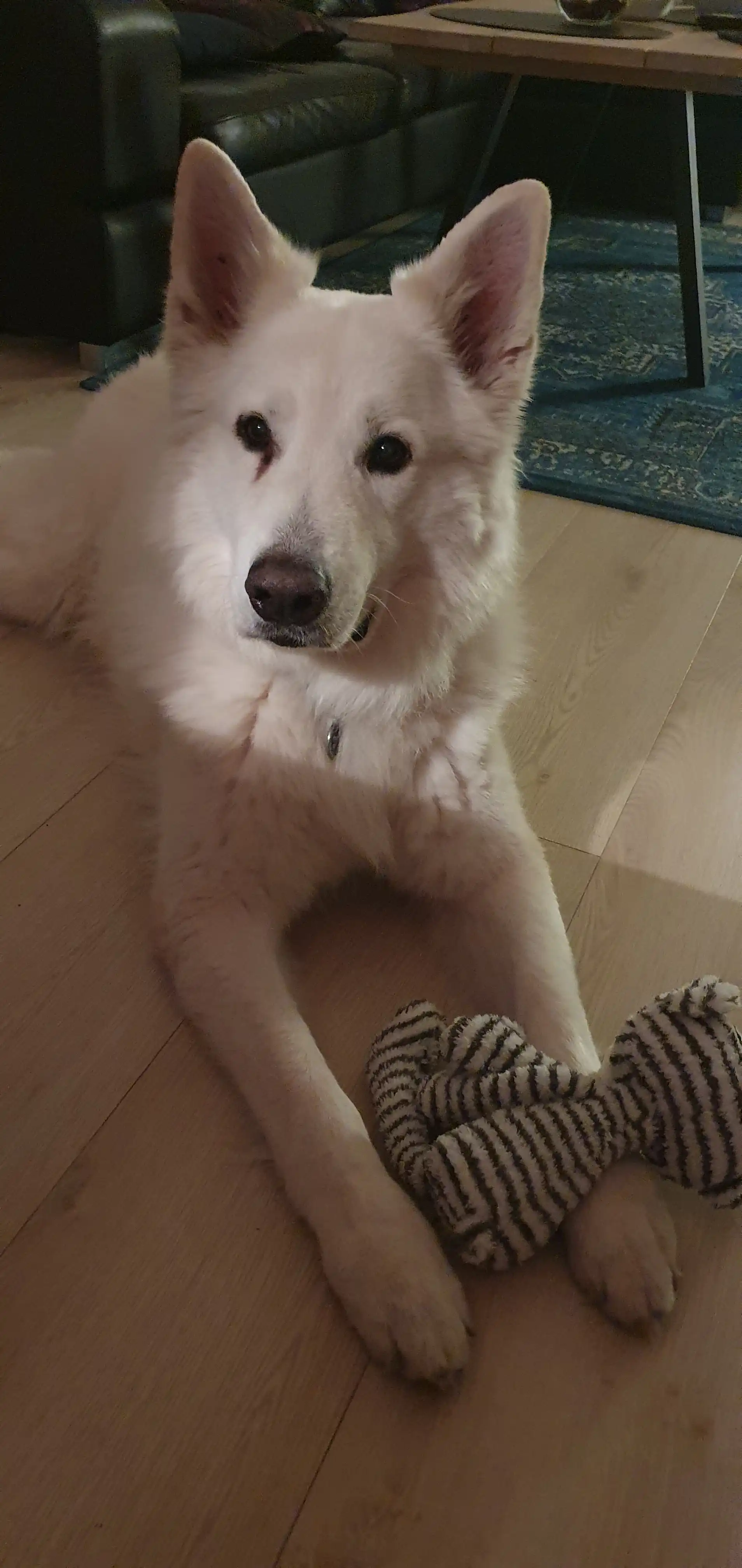 image-8