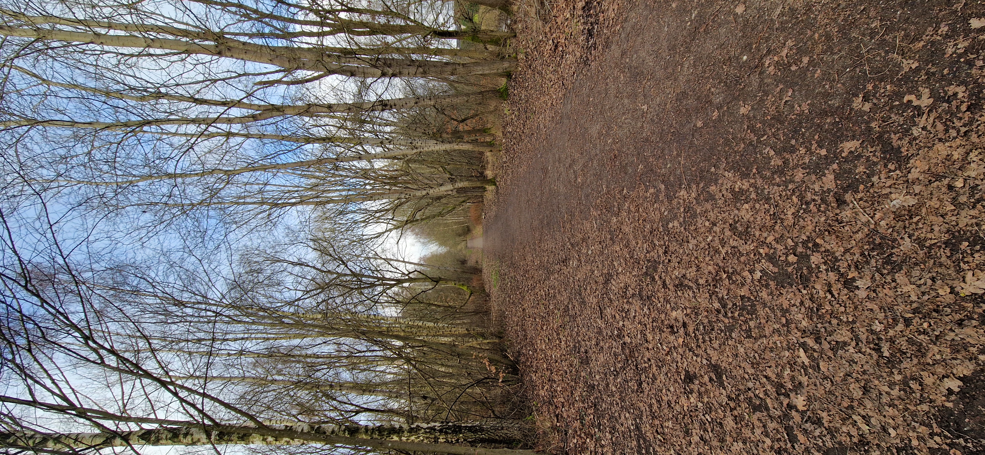 image-14