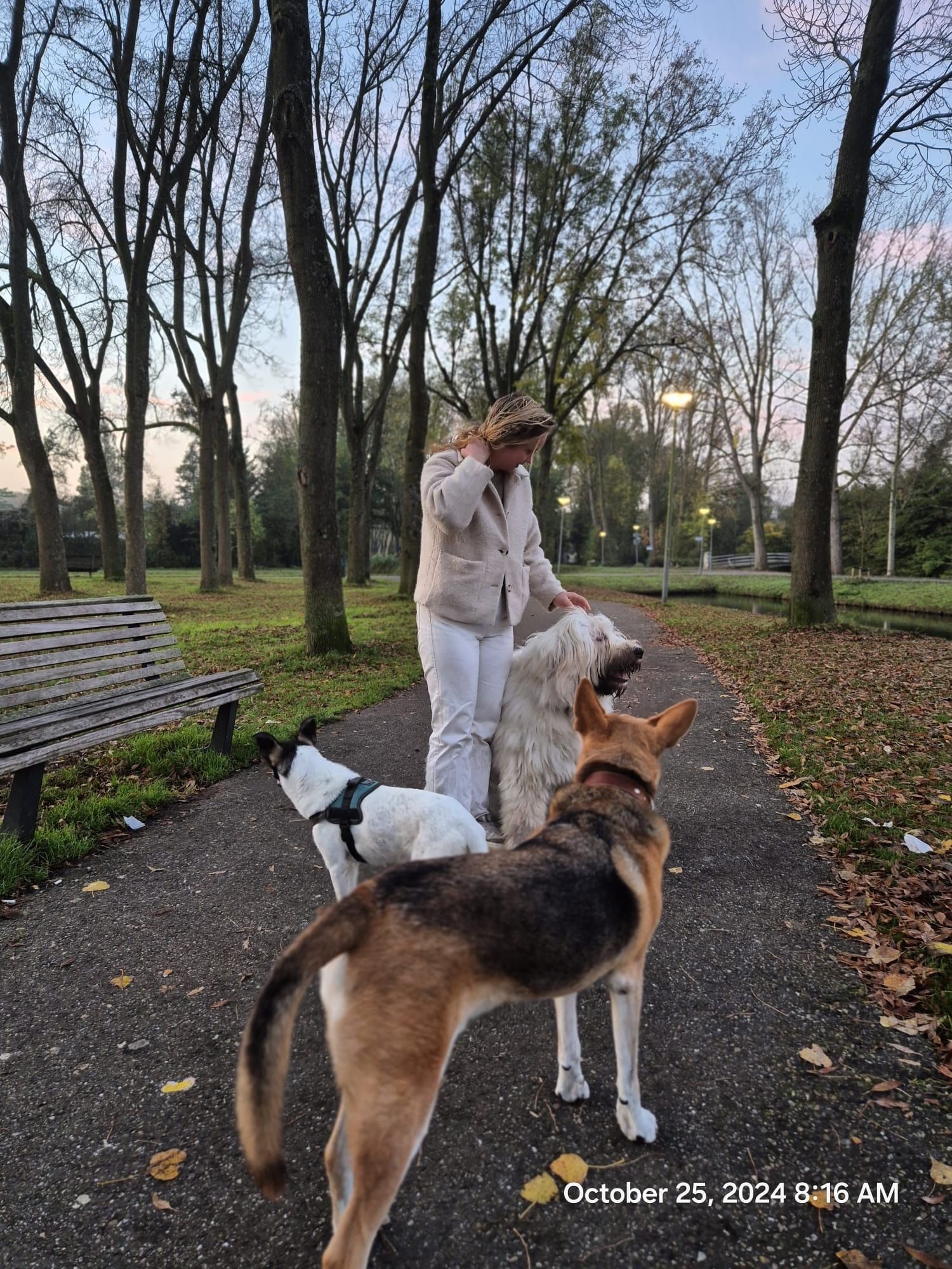 image-14