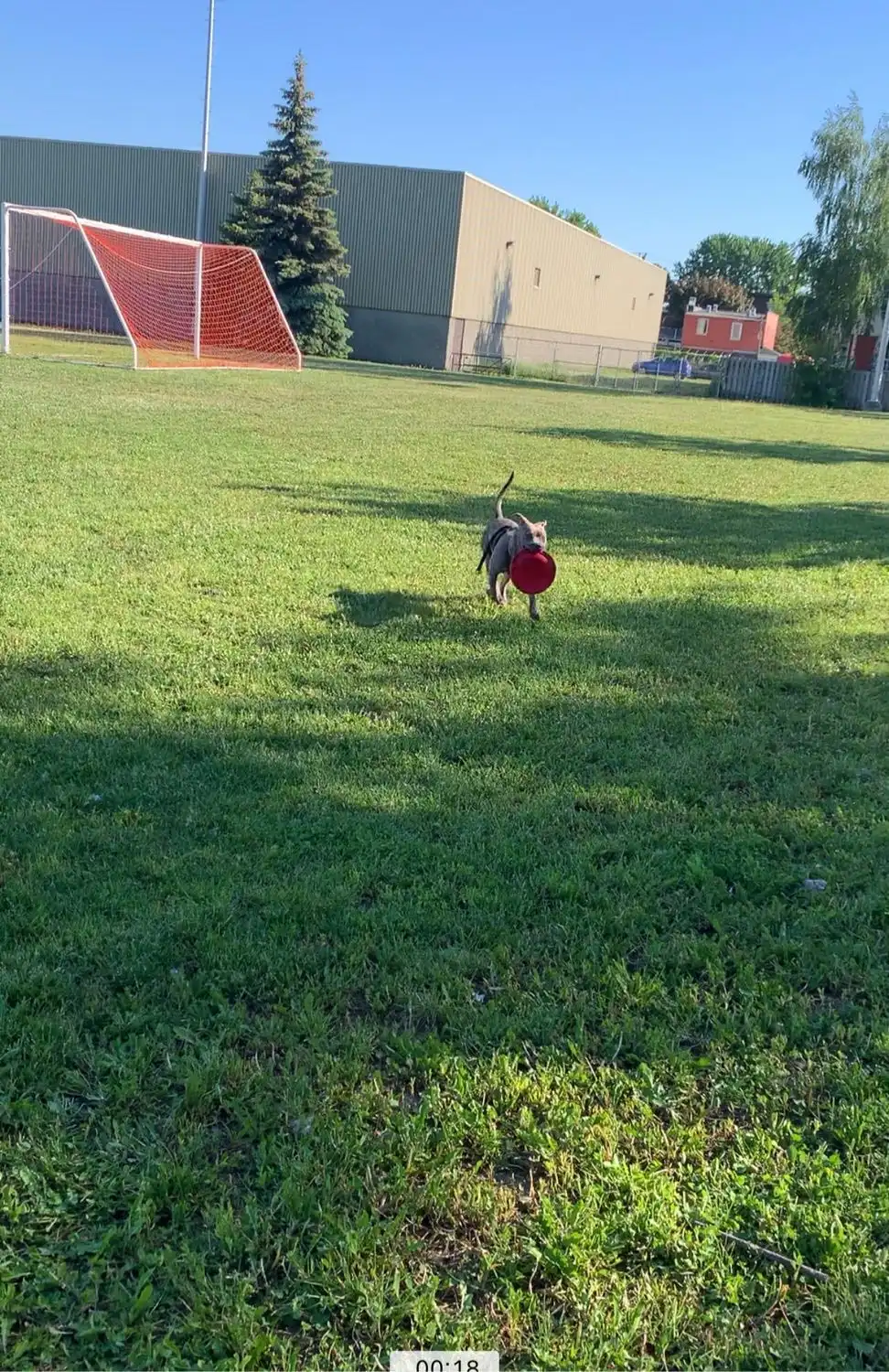 image-9
