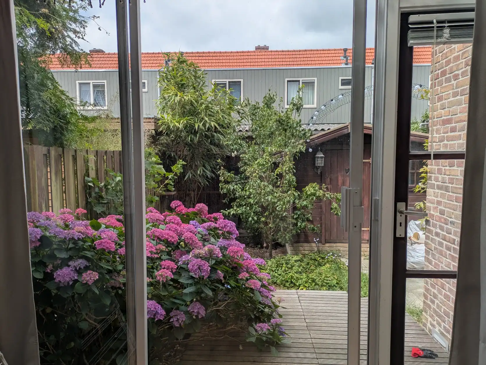 image-7