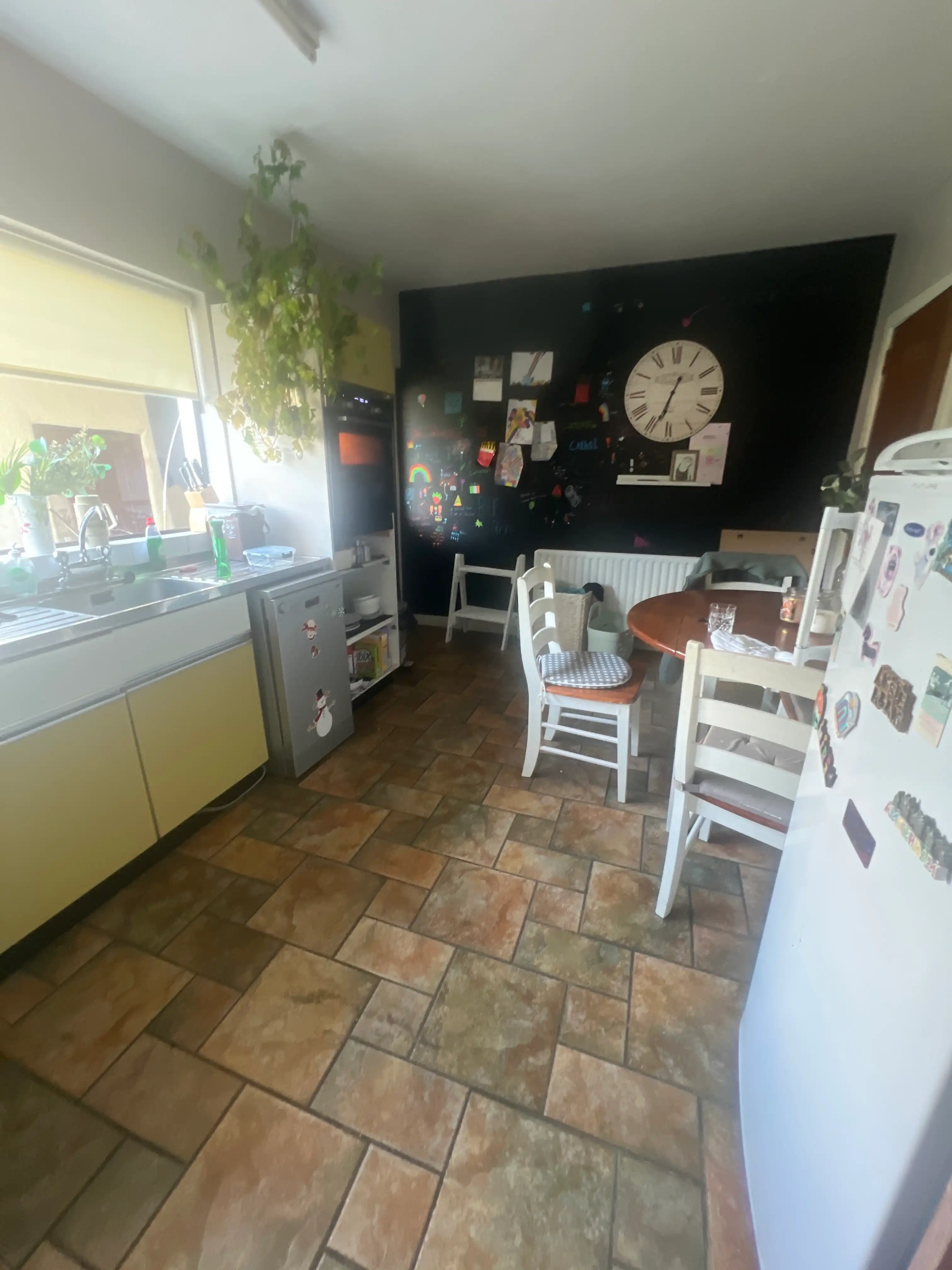 image-19