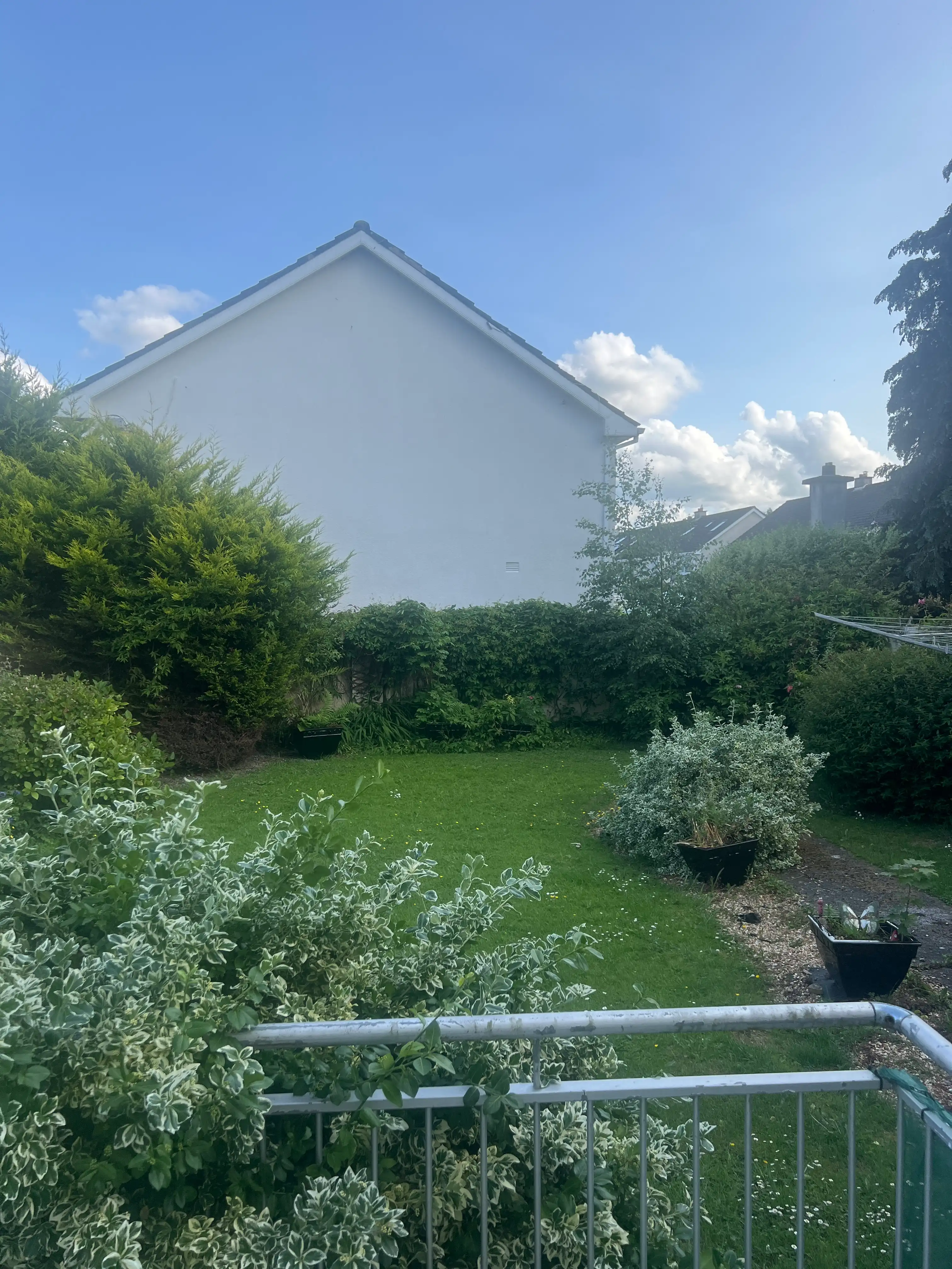 image-17