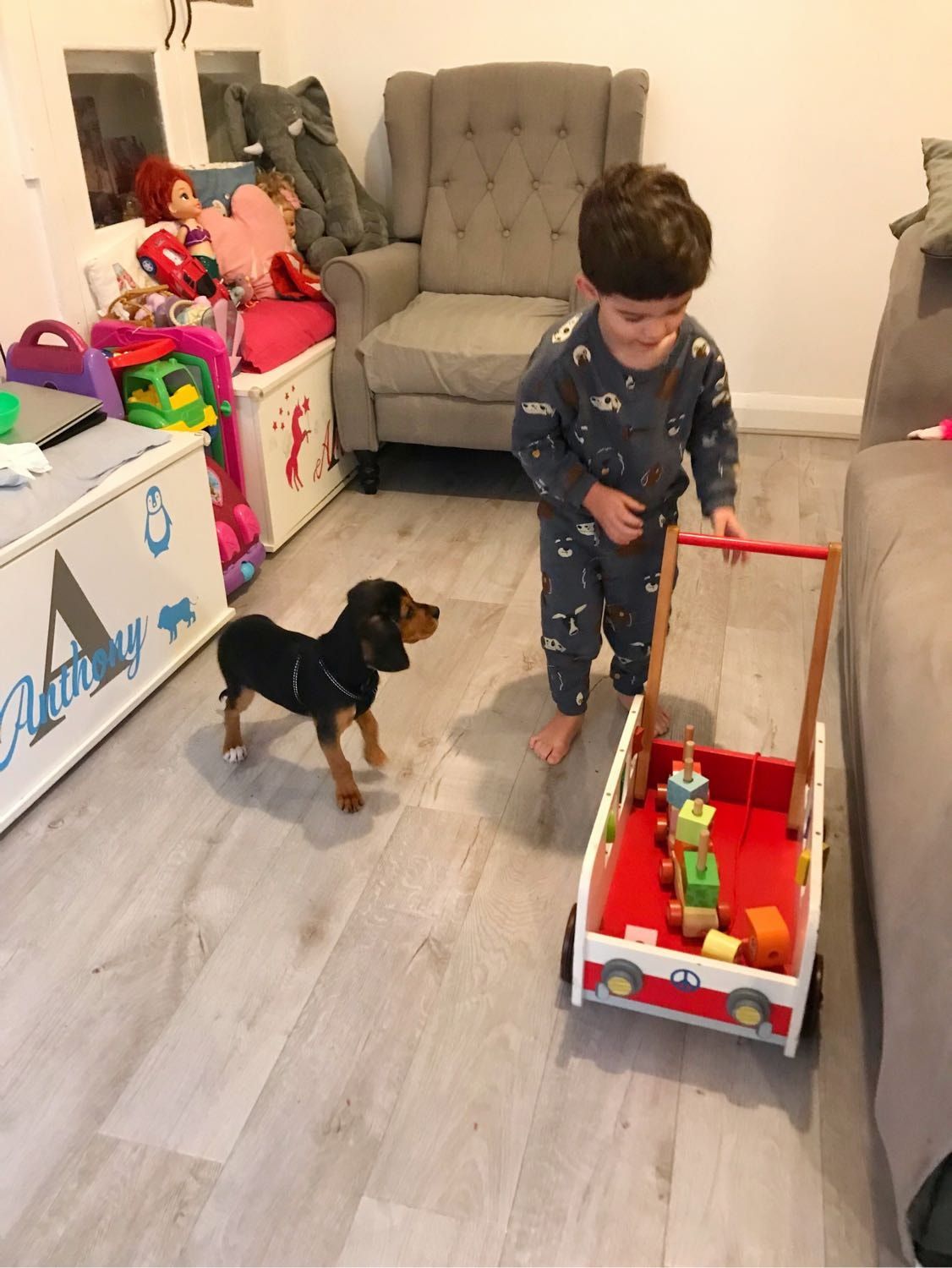 image-28