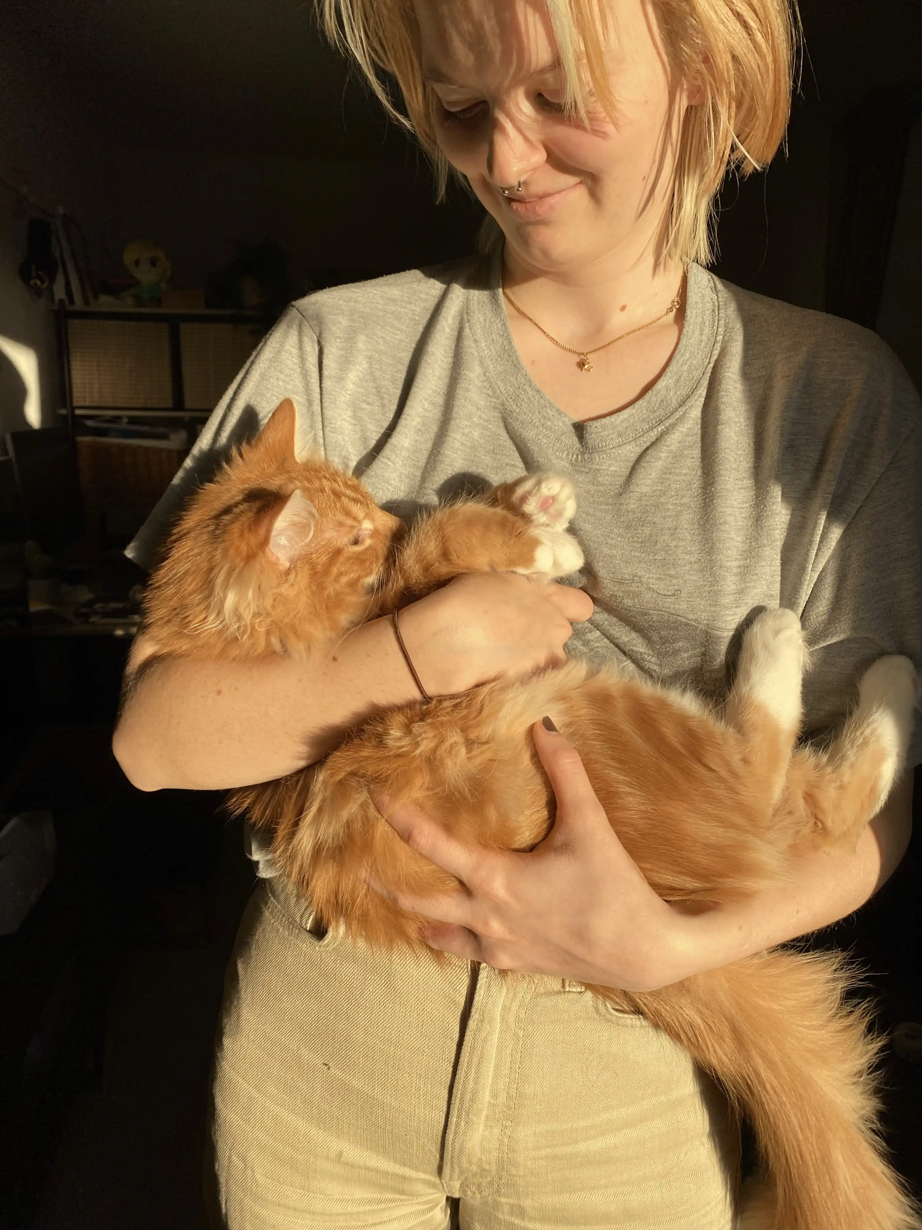 image-7