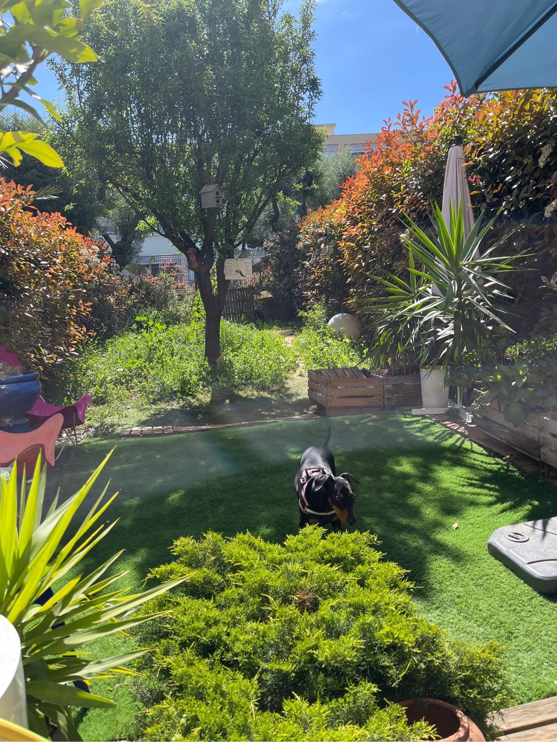 image-10