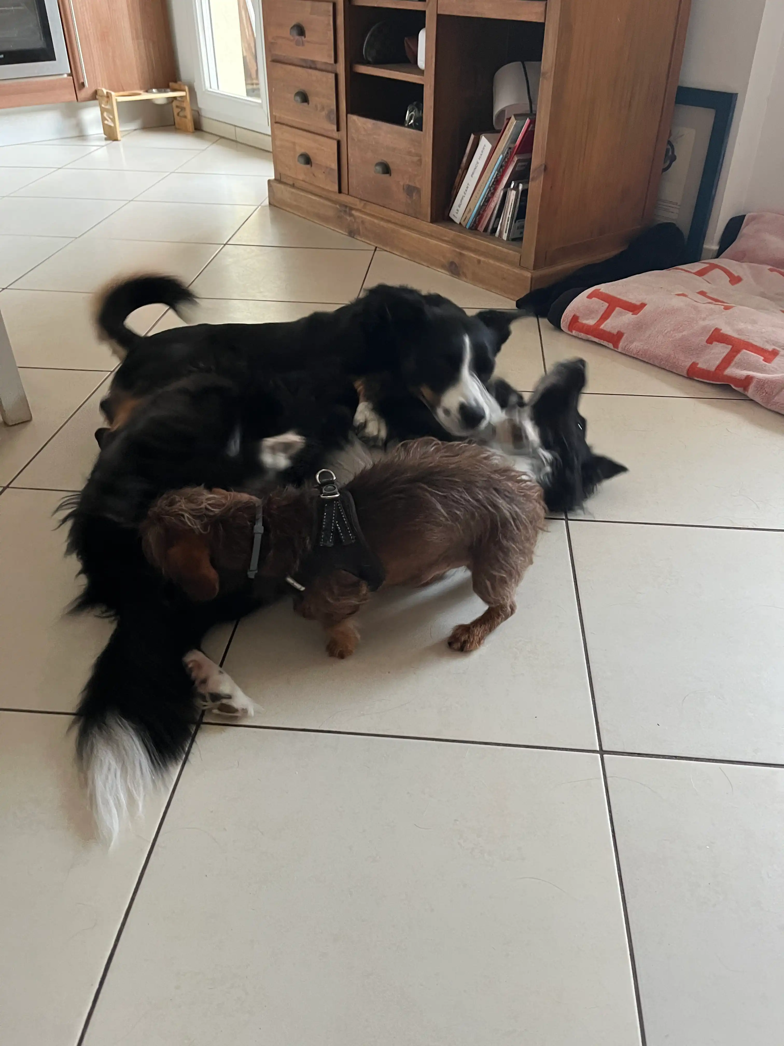 image-18