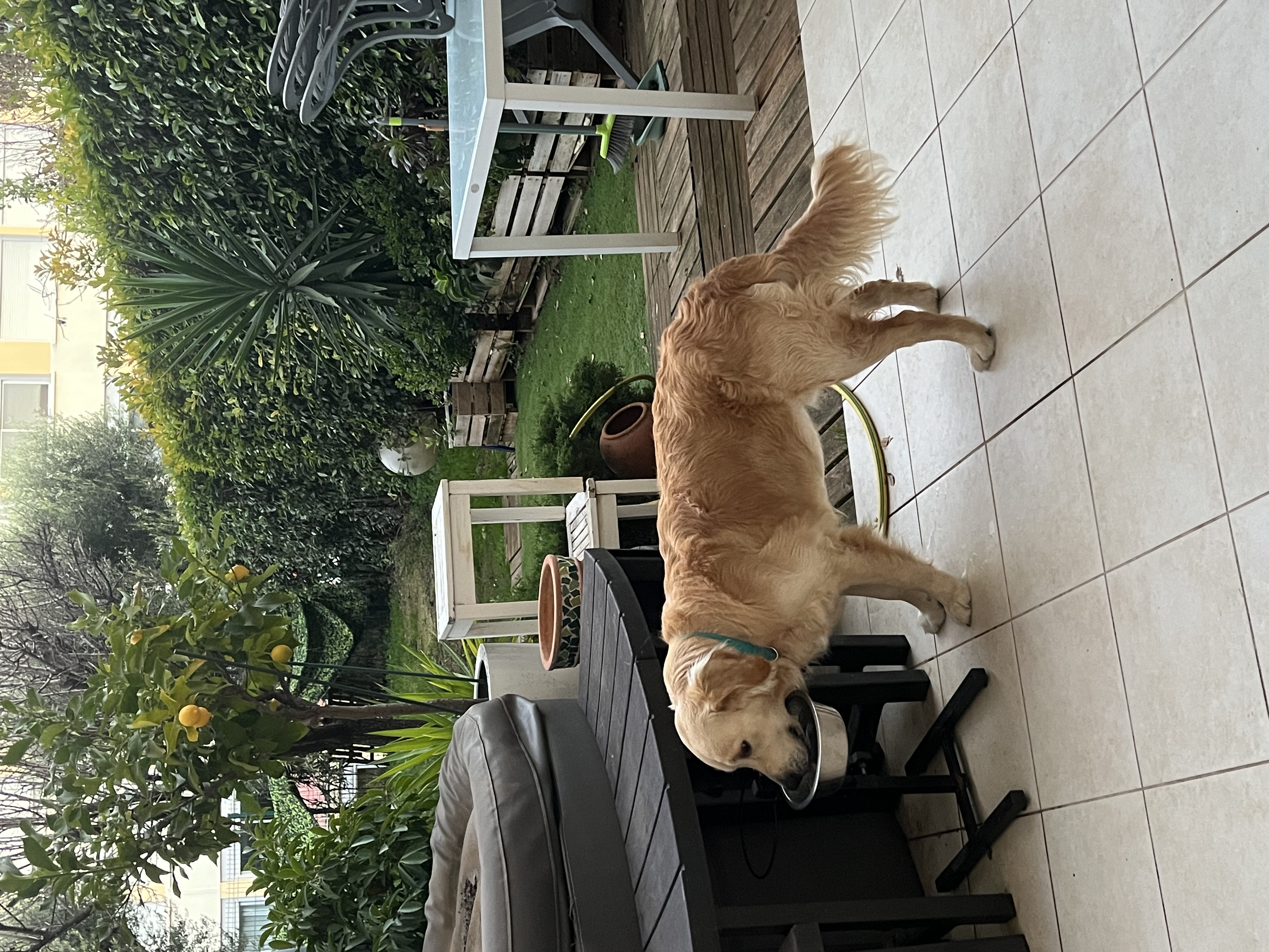 image-31