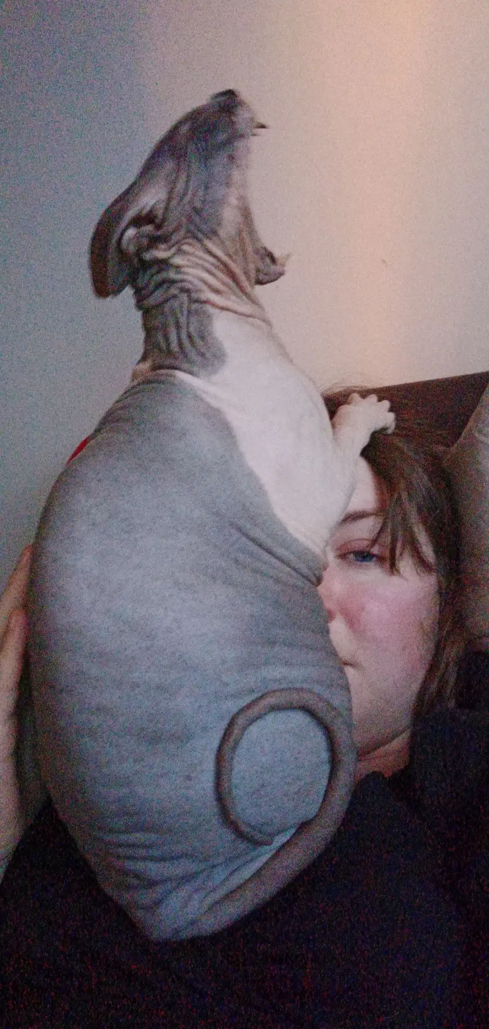 image-7