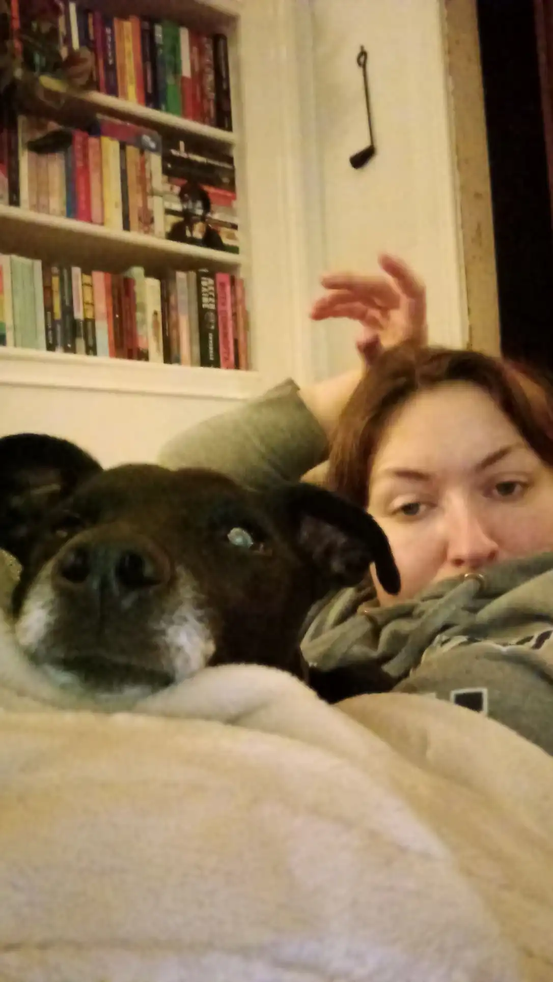 image-5