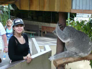 image-7