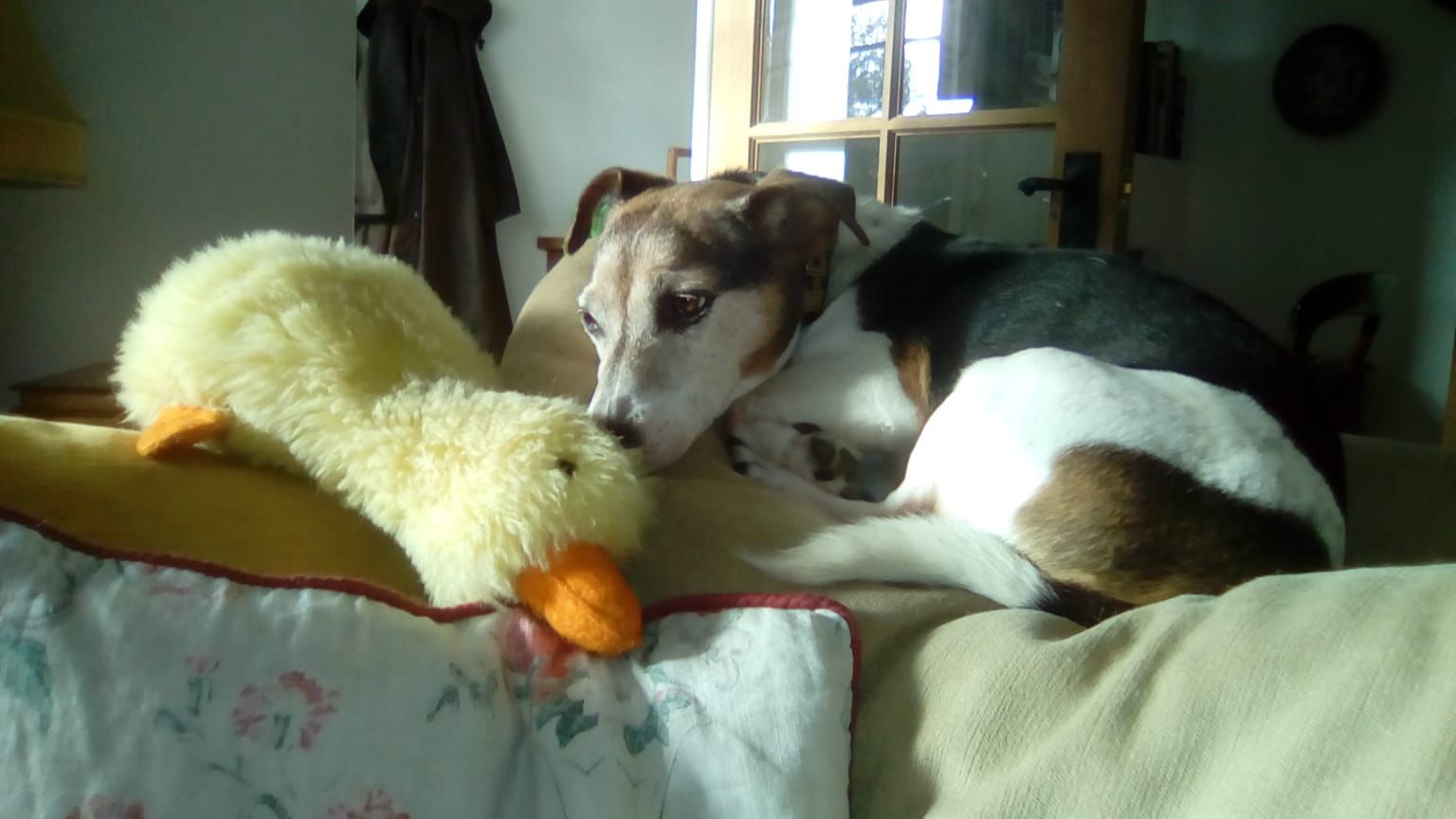 image-8