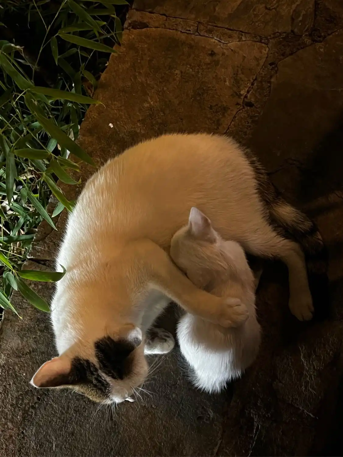 image-5