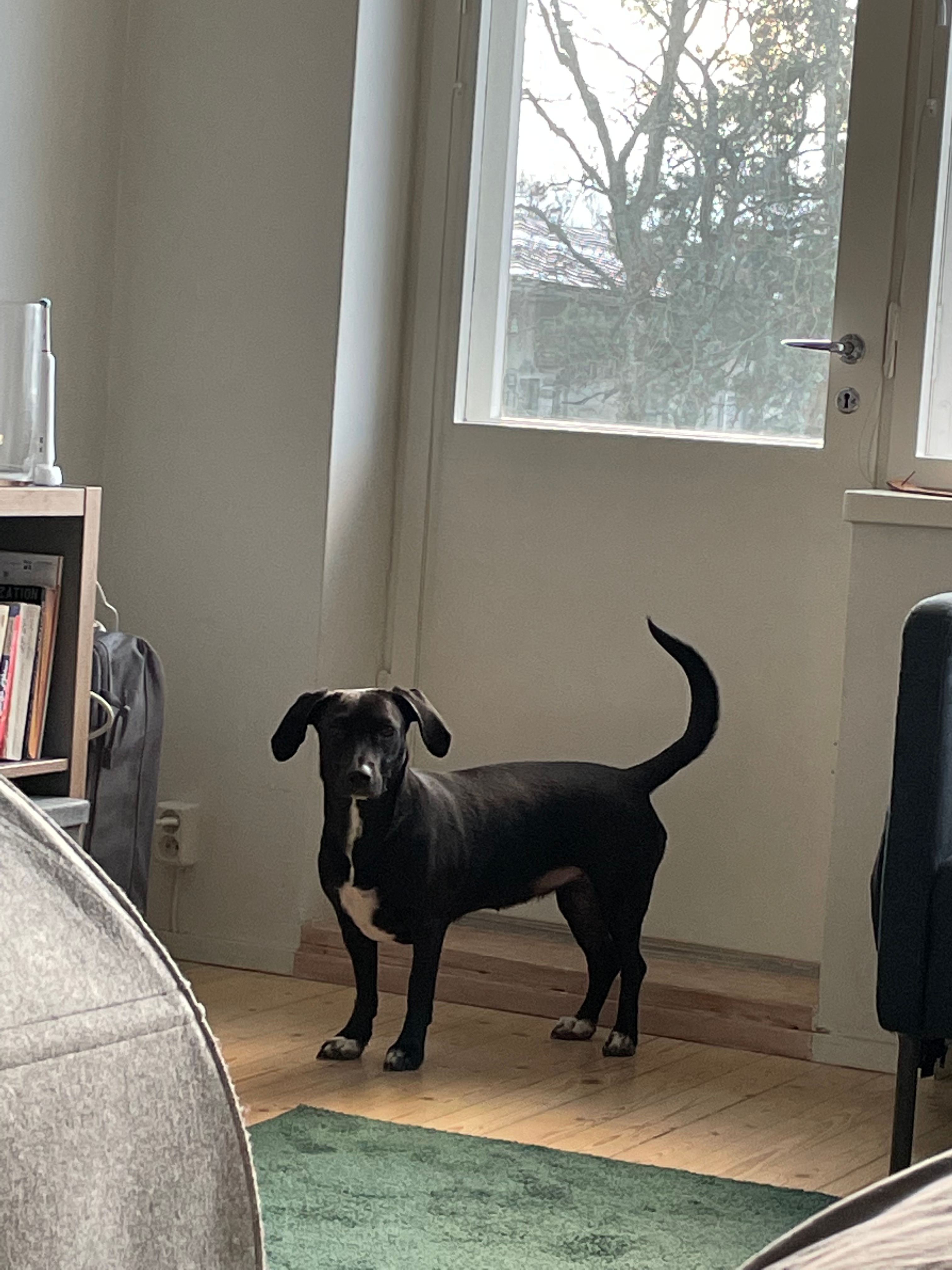 image-11