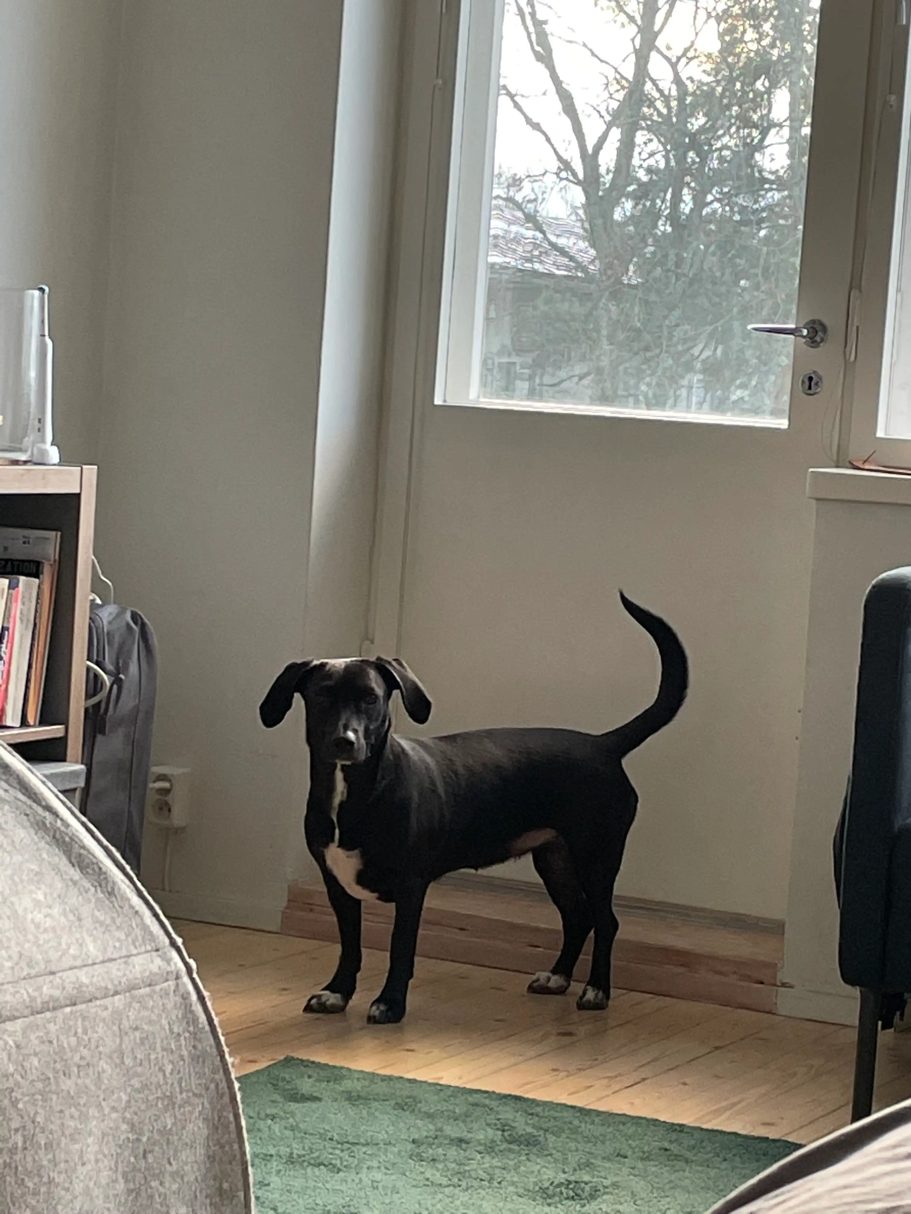 image-11