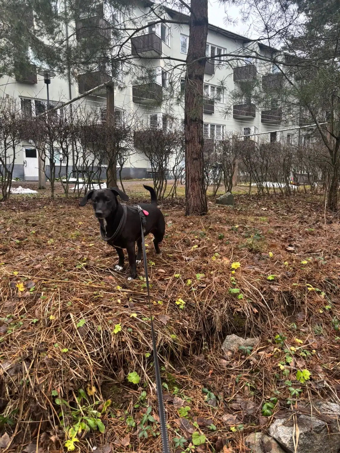 image-9