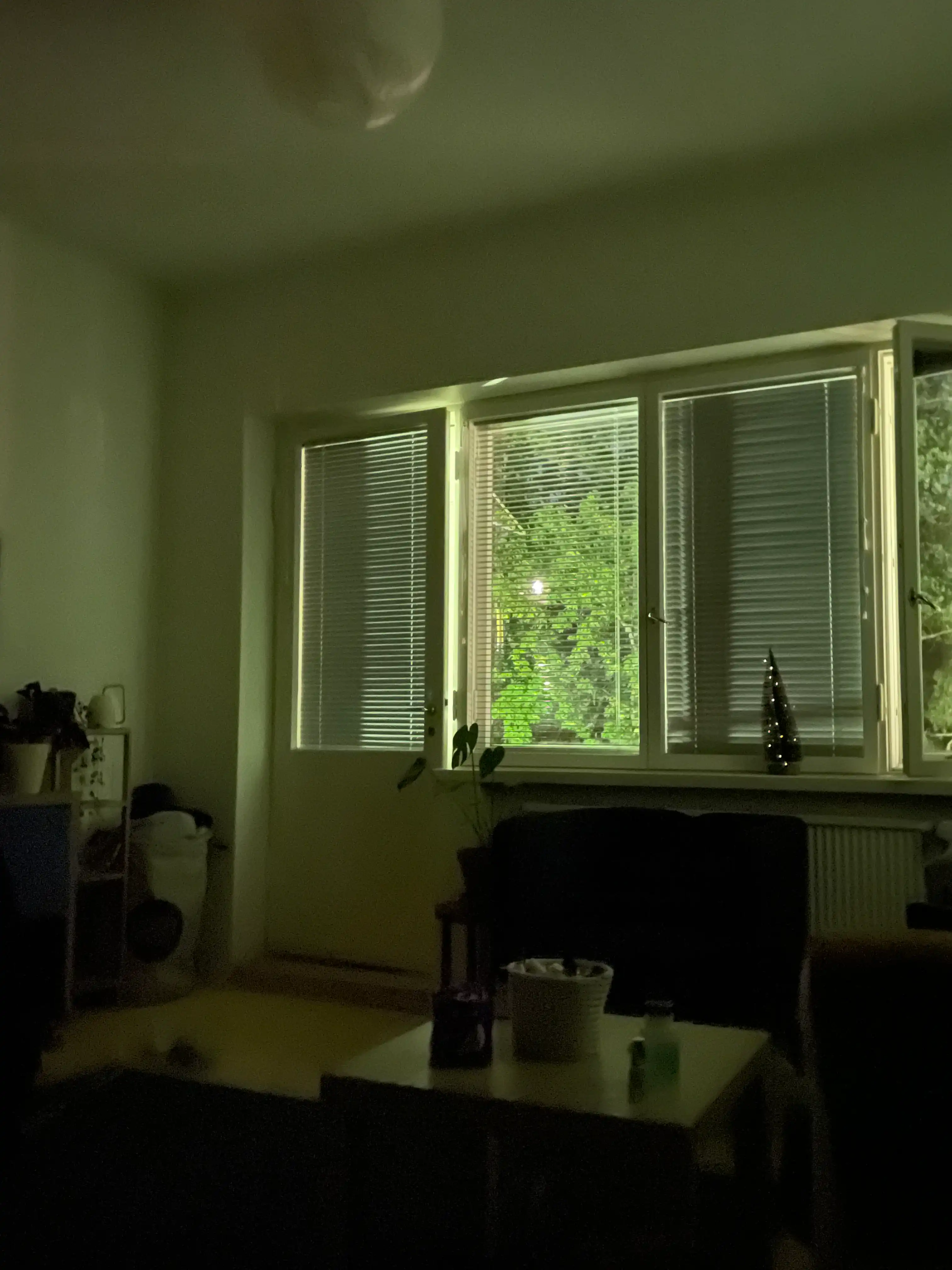 image-13