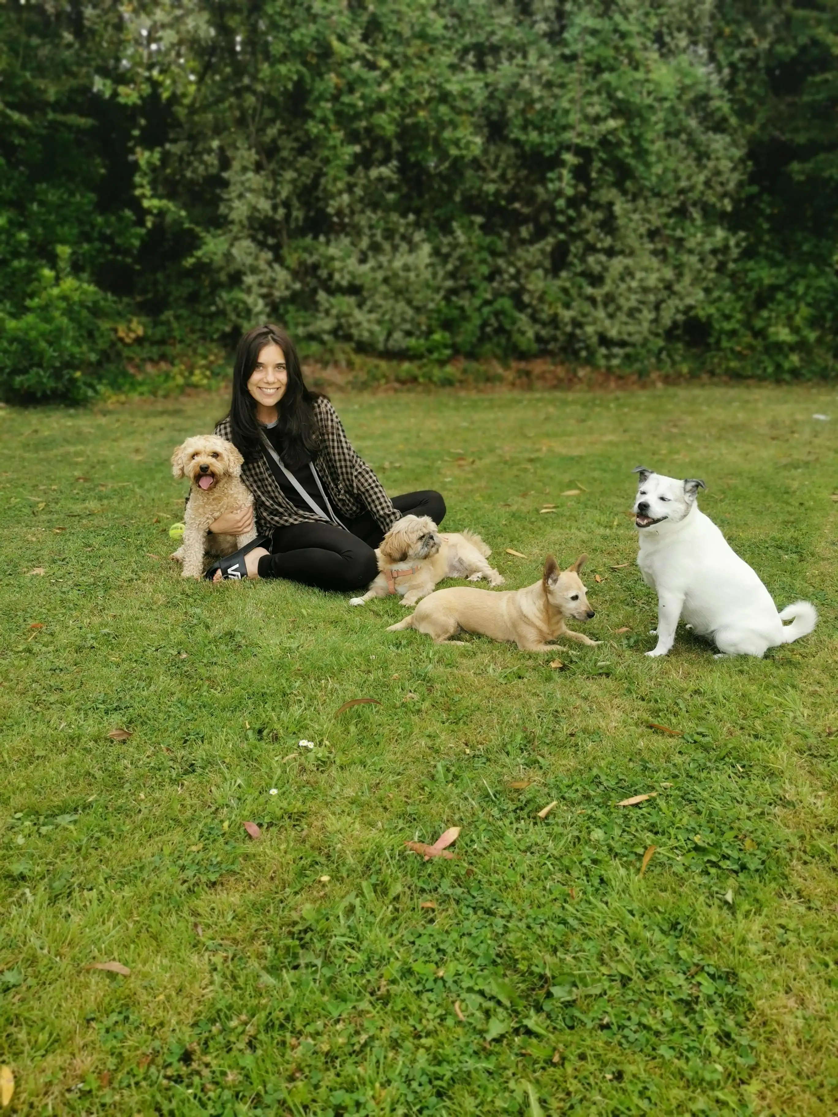 image-9