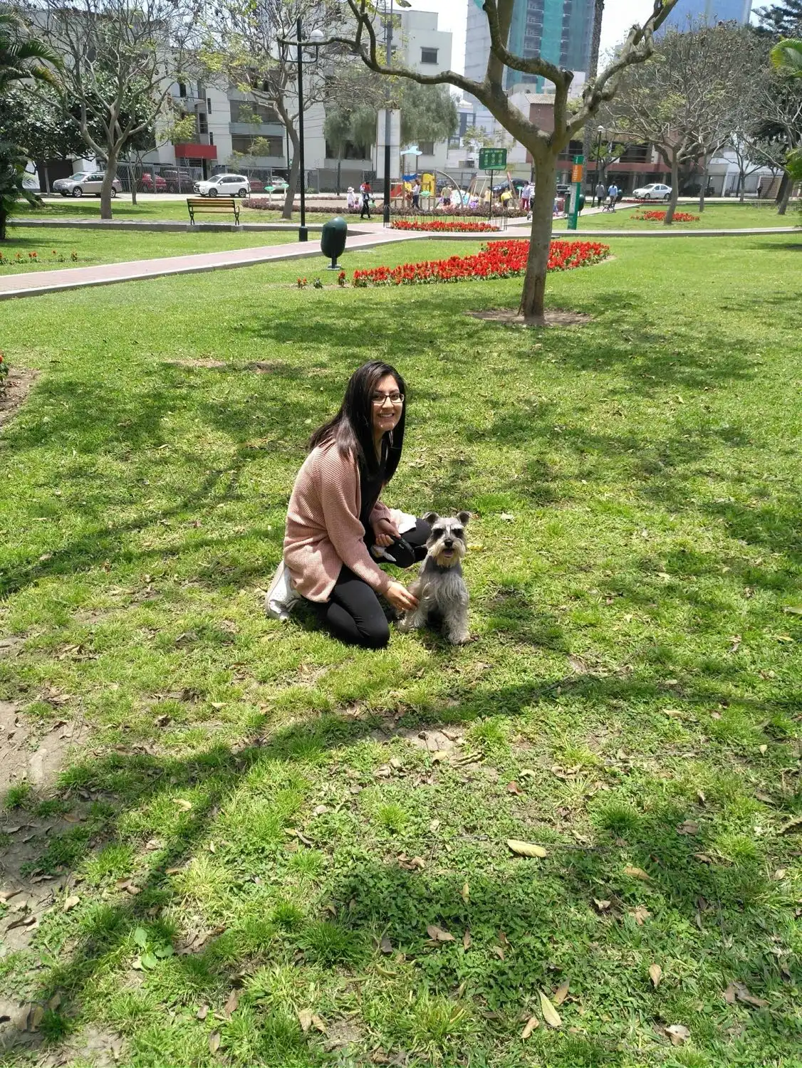 image-5