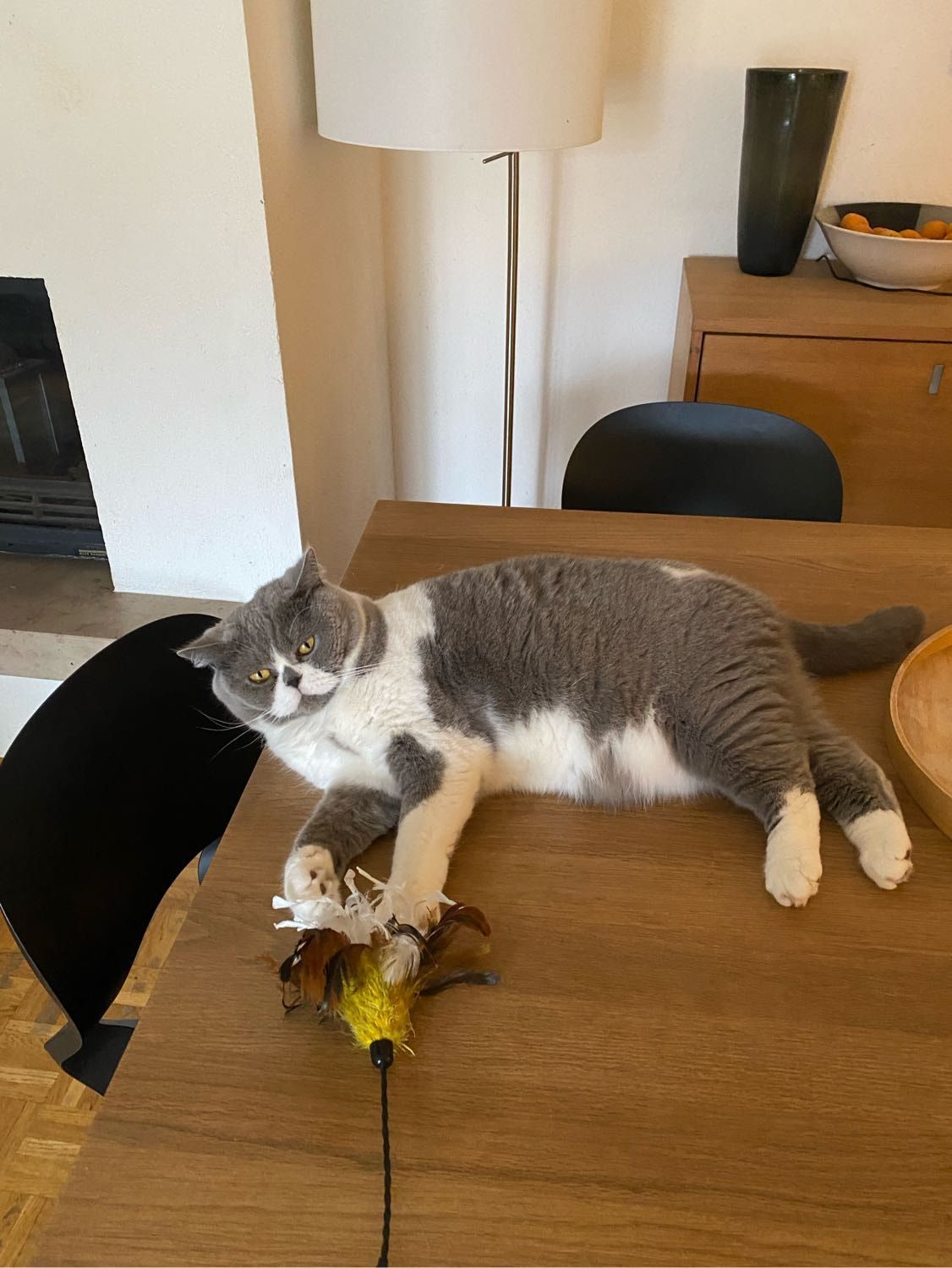 image-7