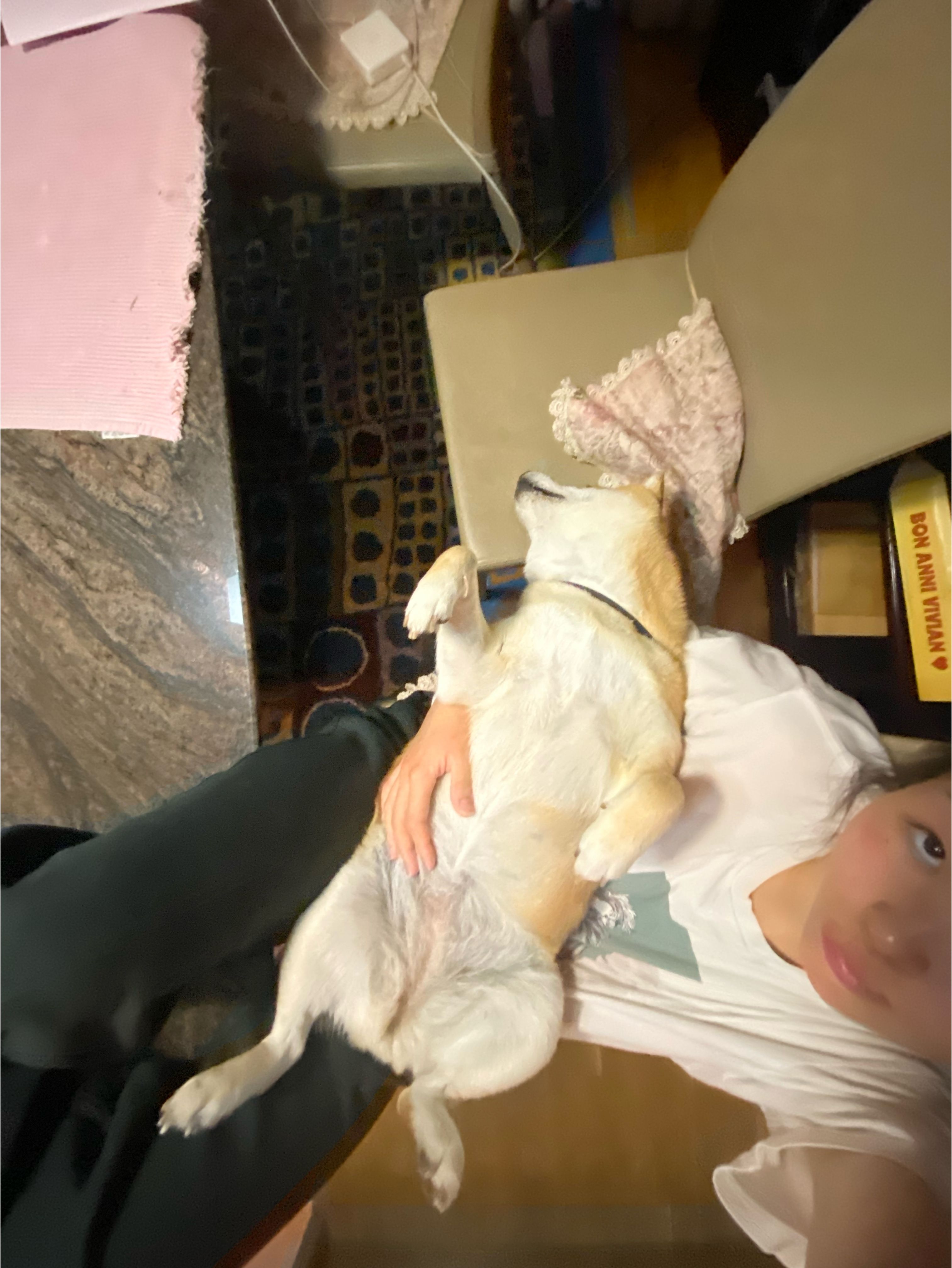image-12