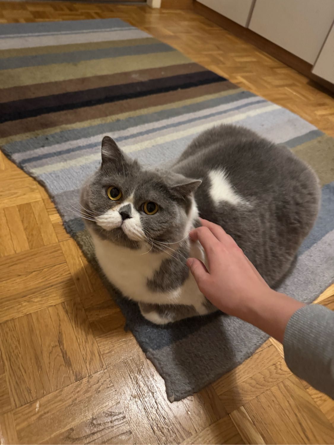 image-14