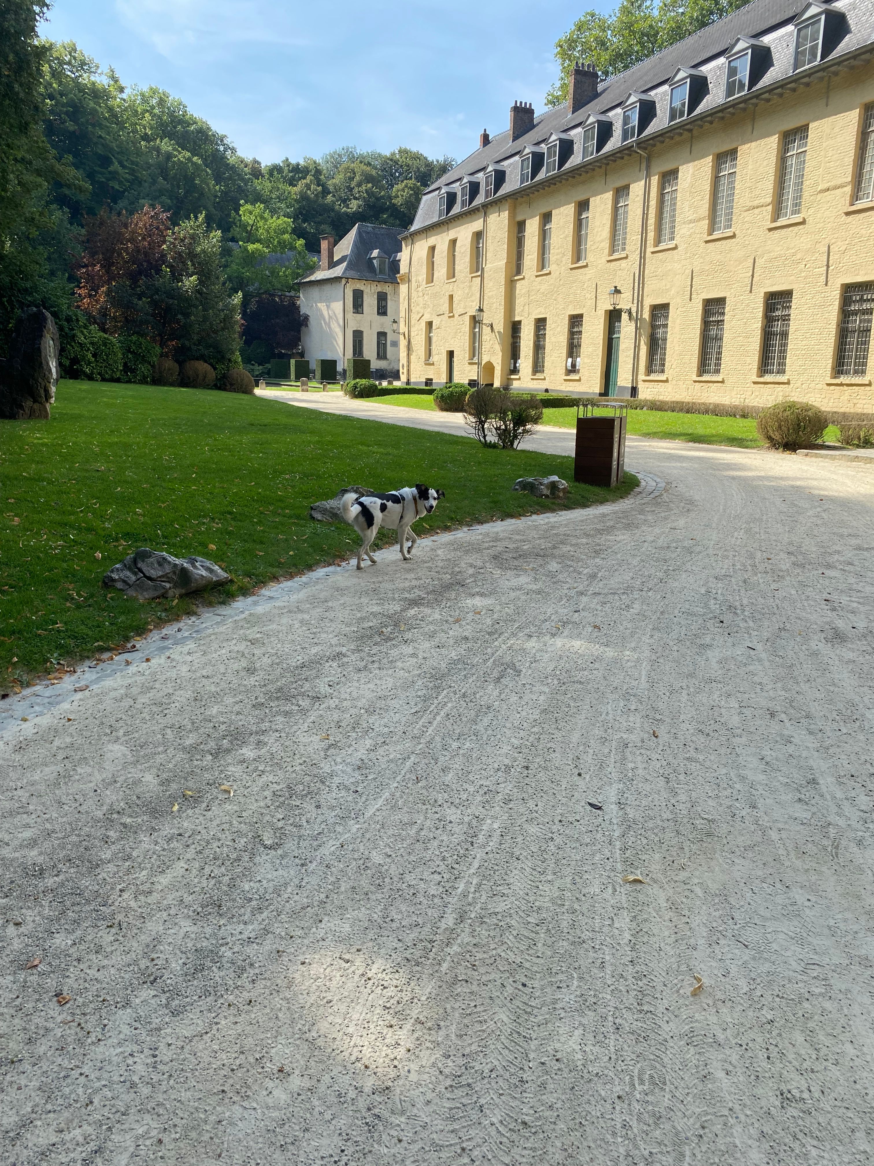 image-18