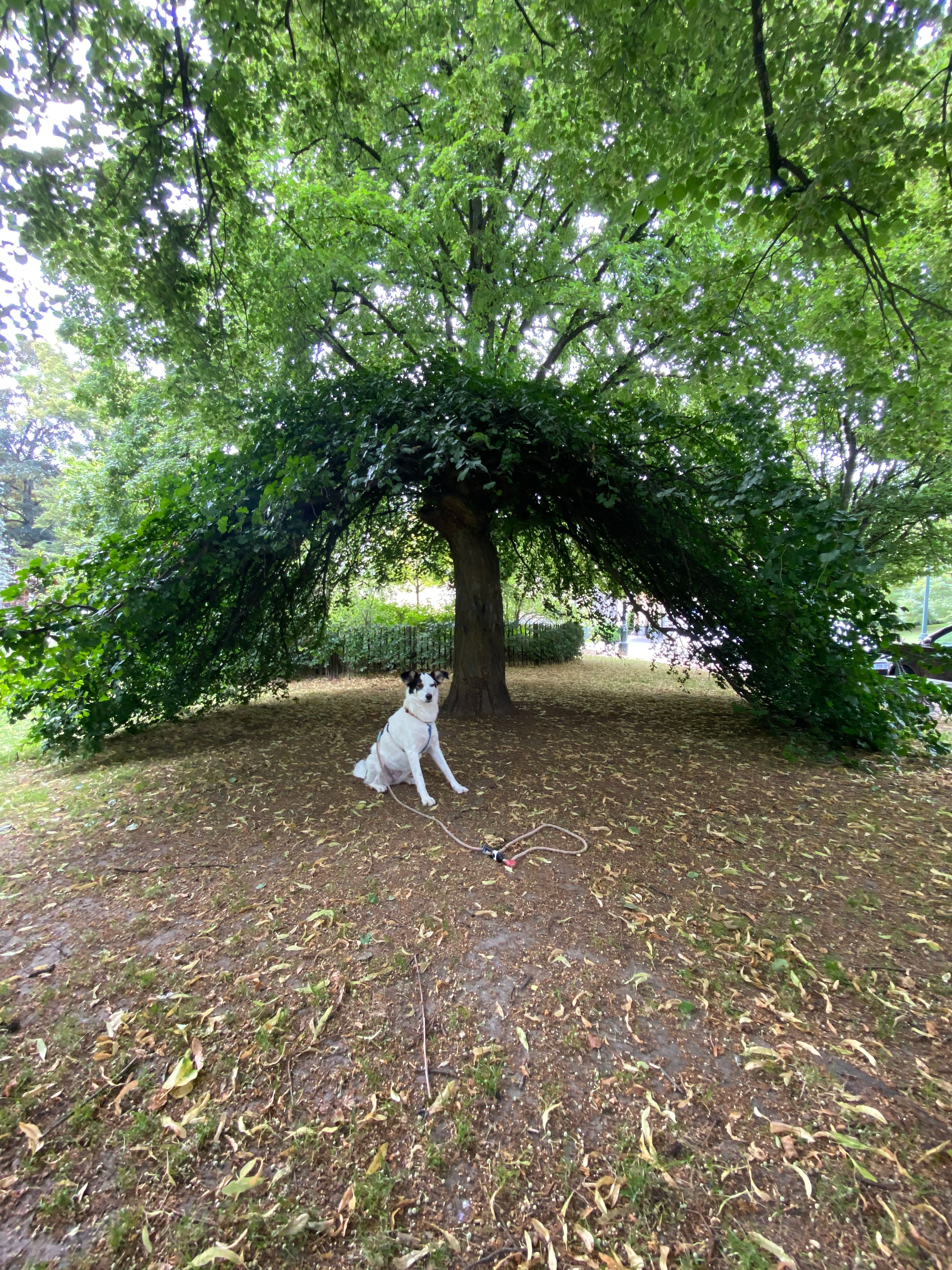 image-20