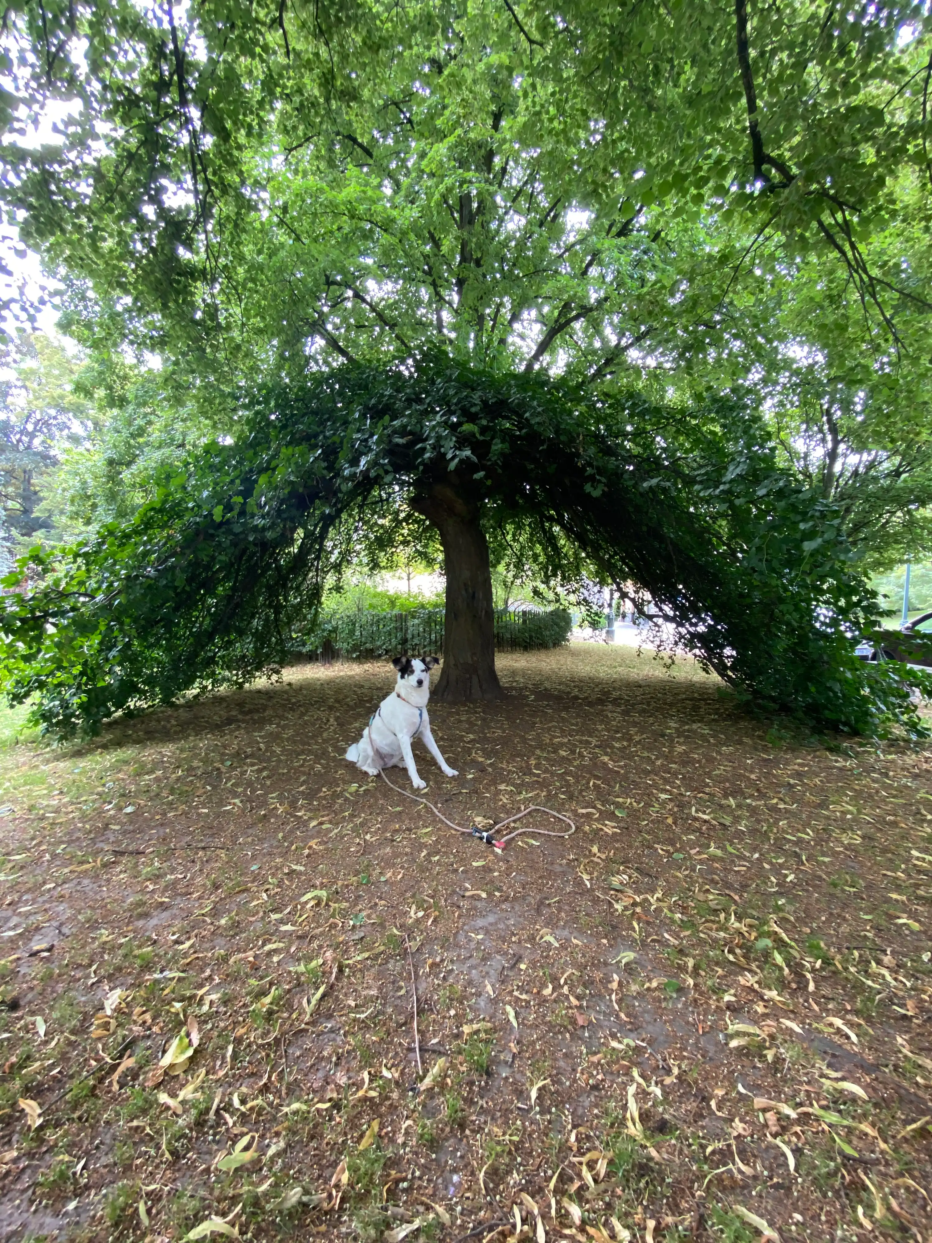 image-20