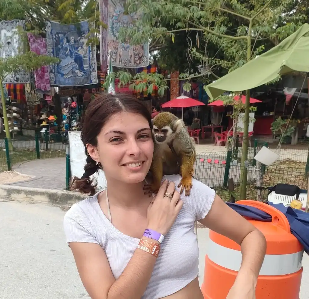 image-5