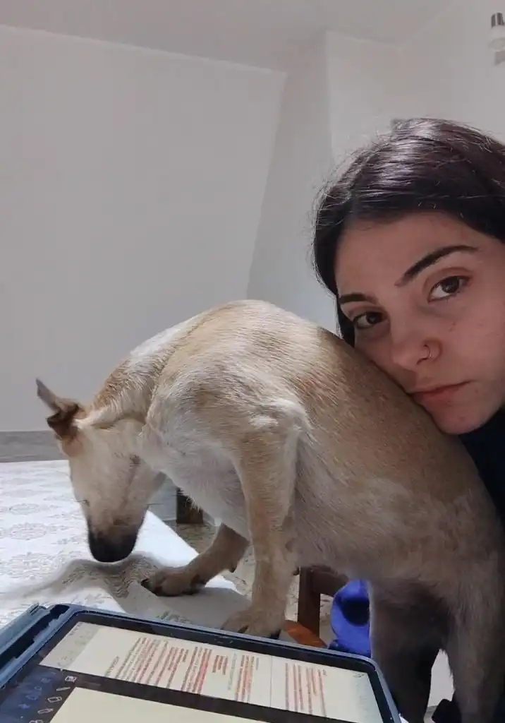 image-6