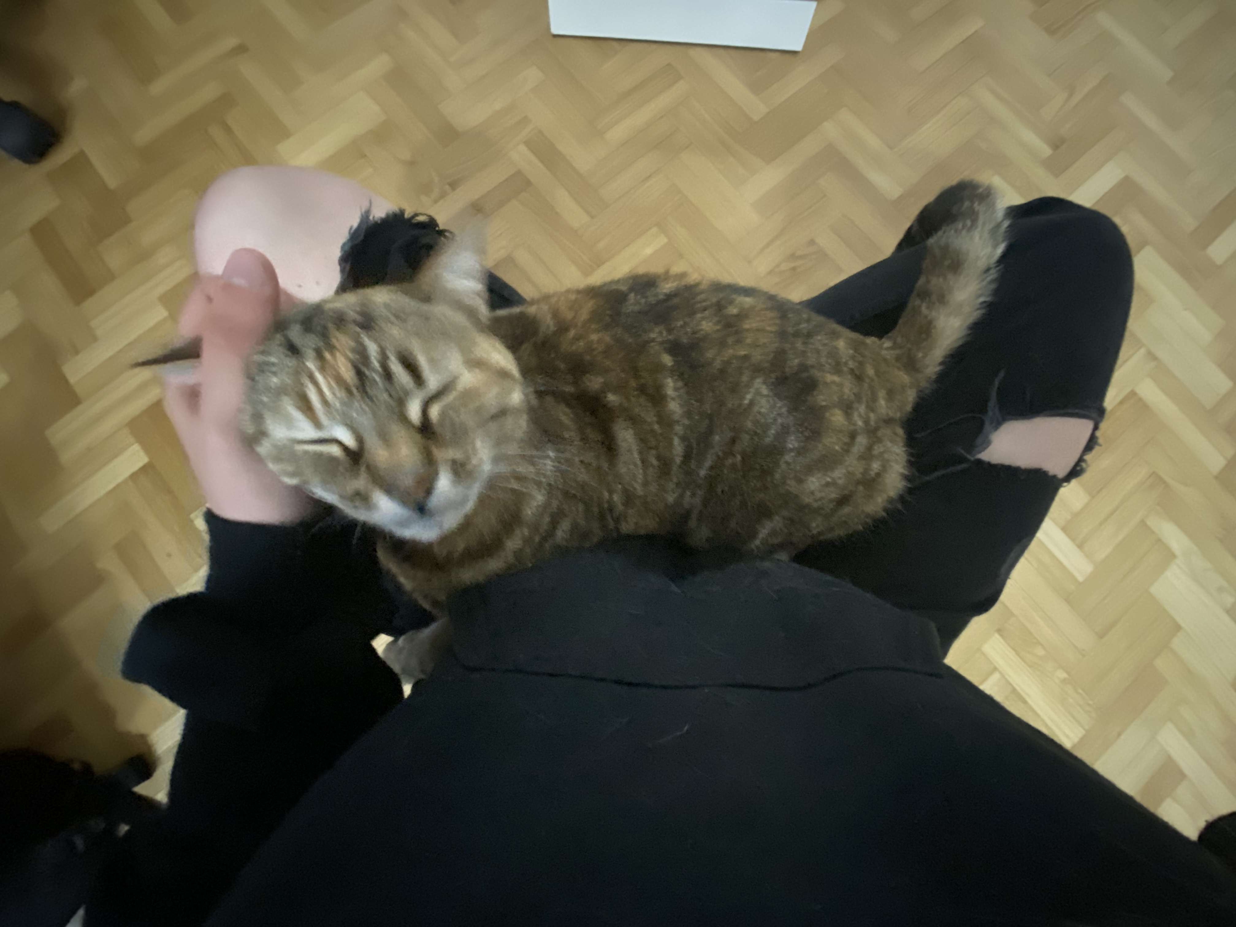 image-13