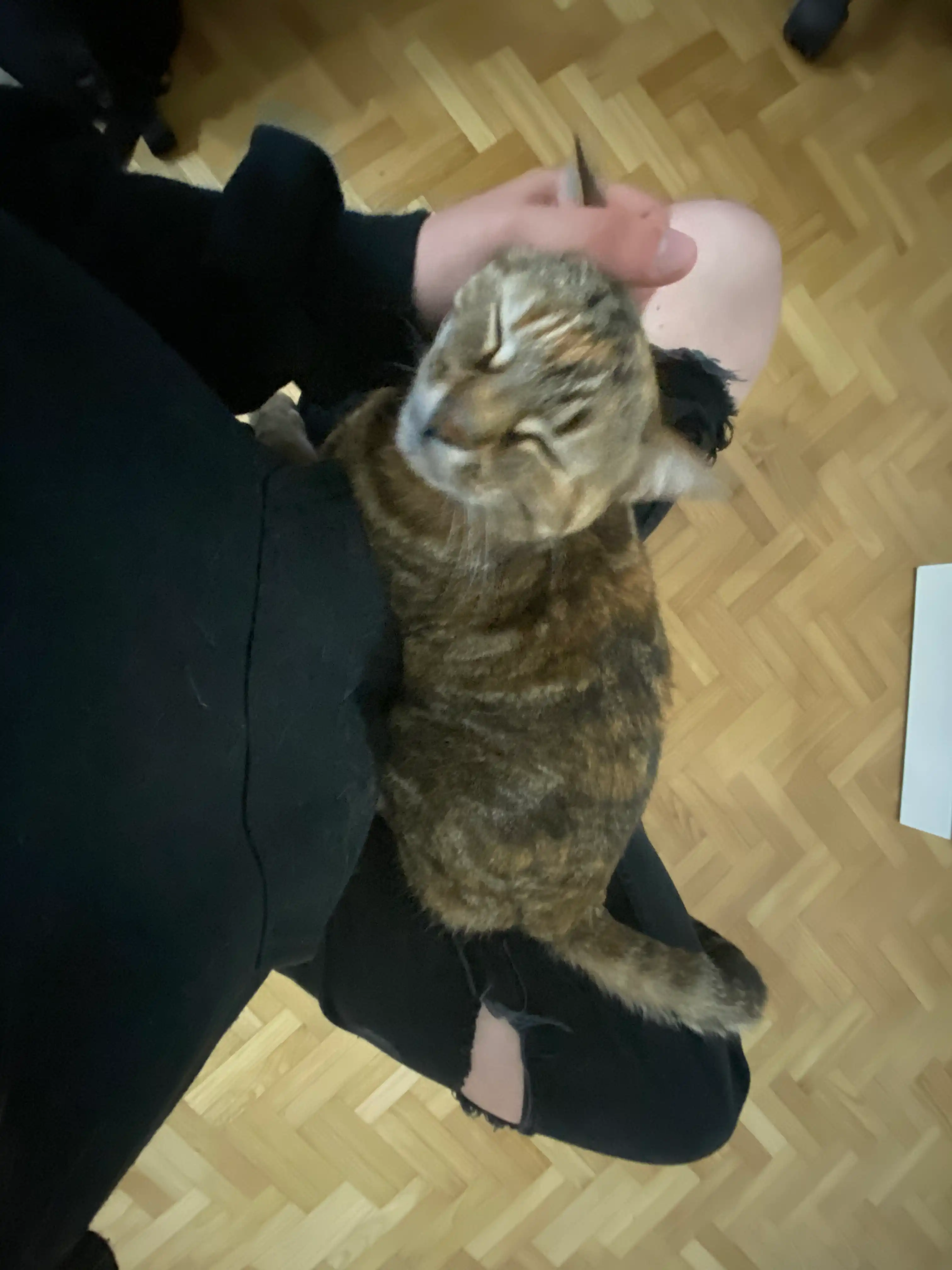 image-13