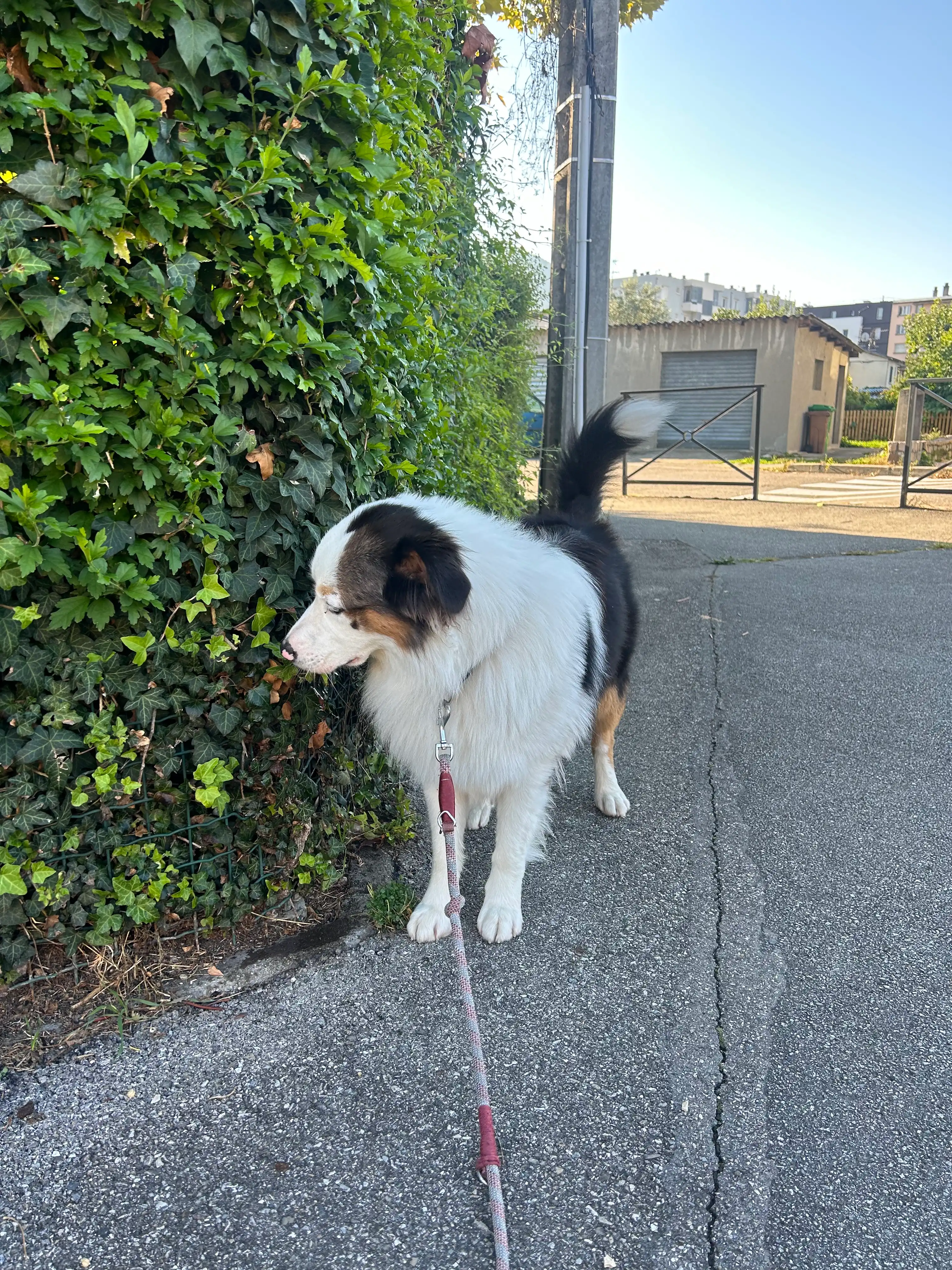 image-11