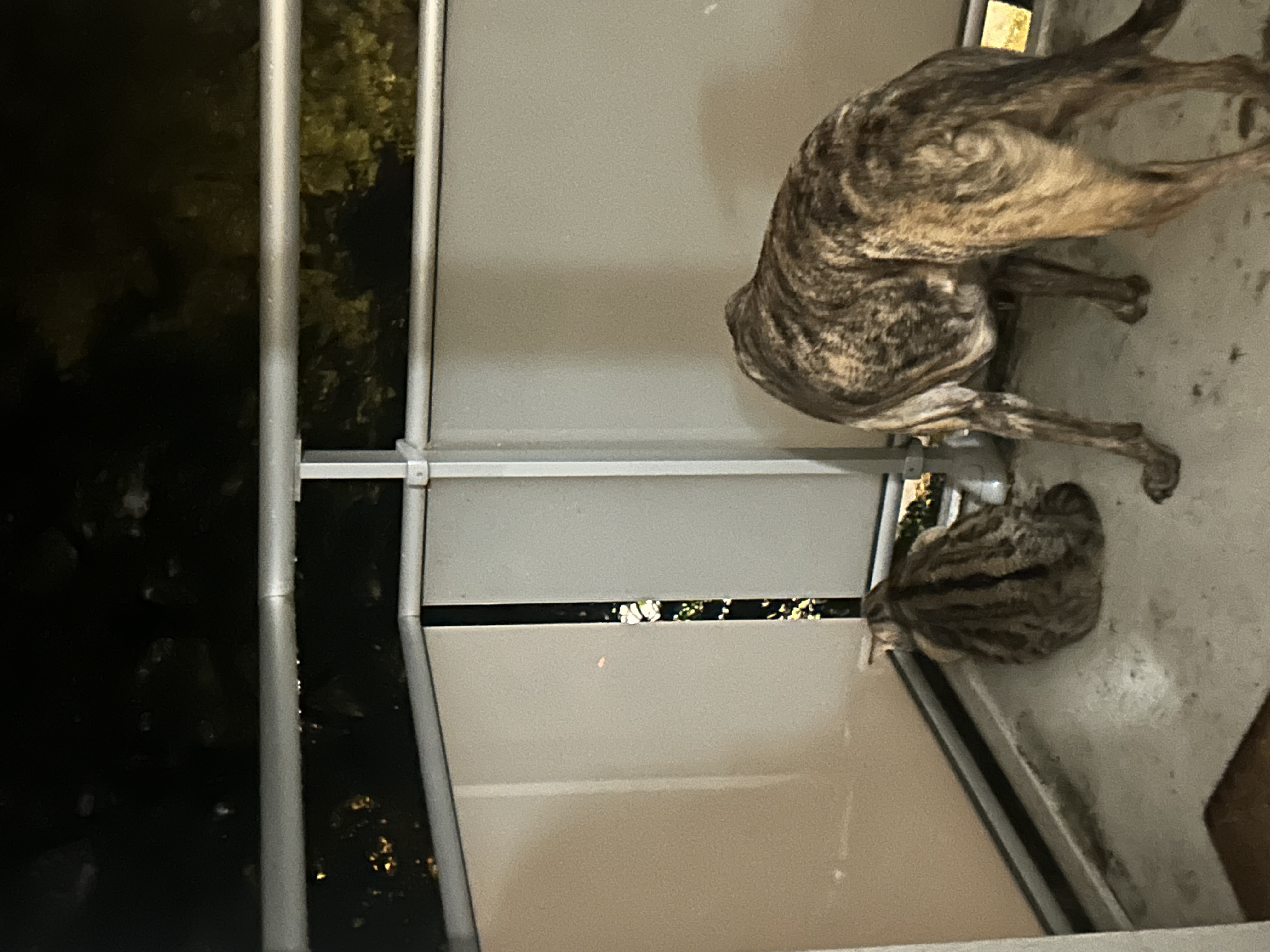 image-16