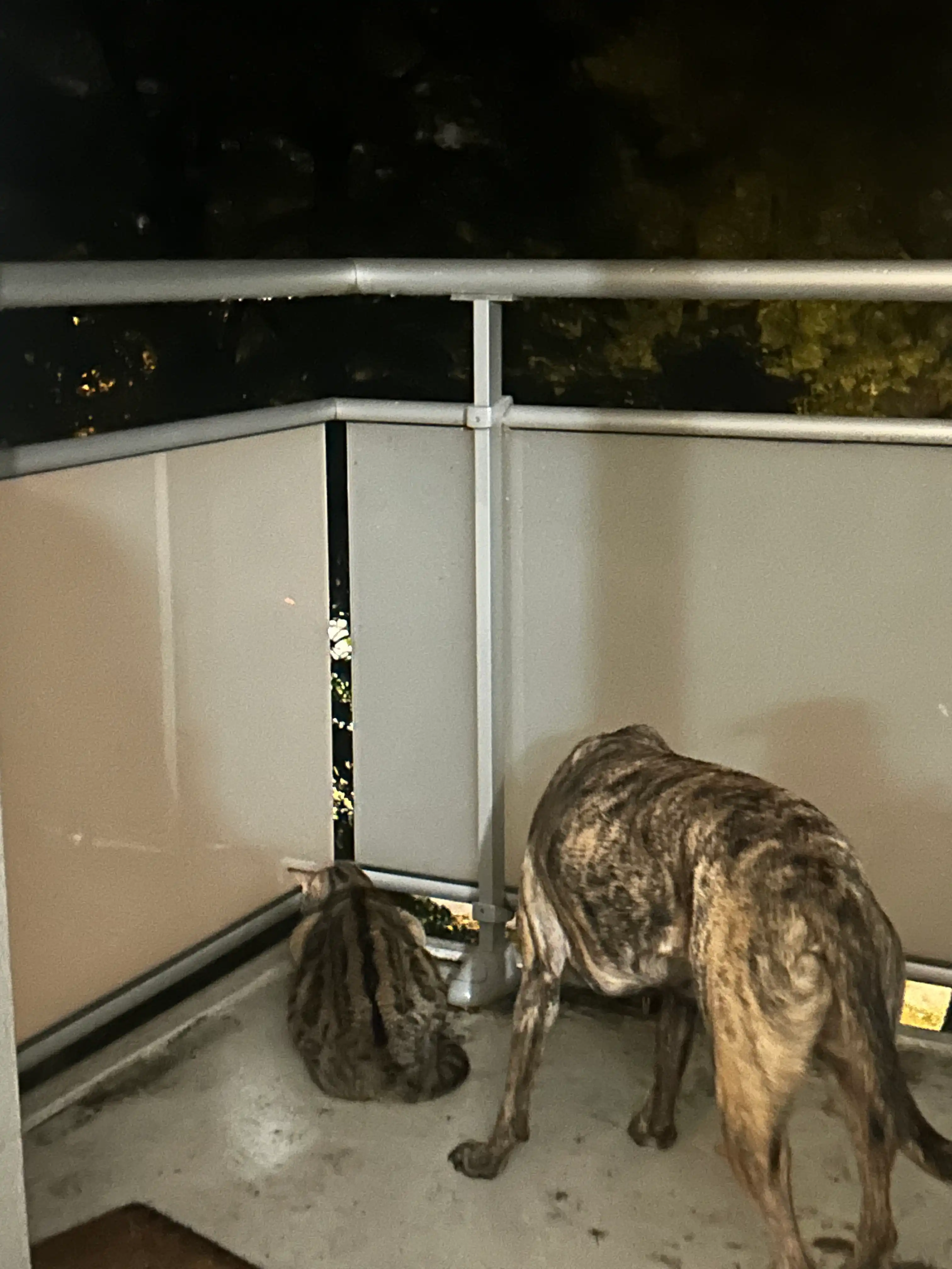 image-16