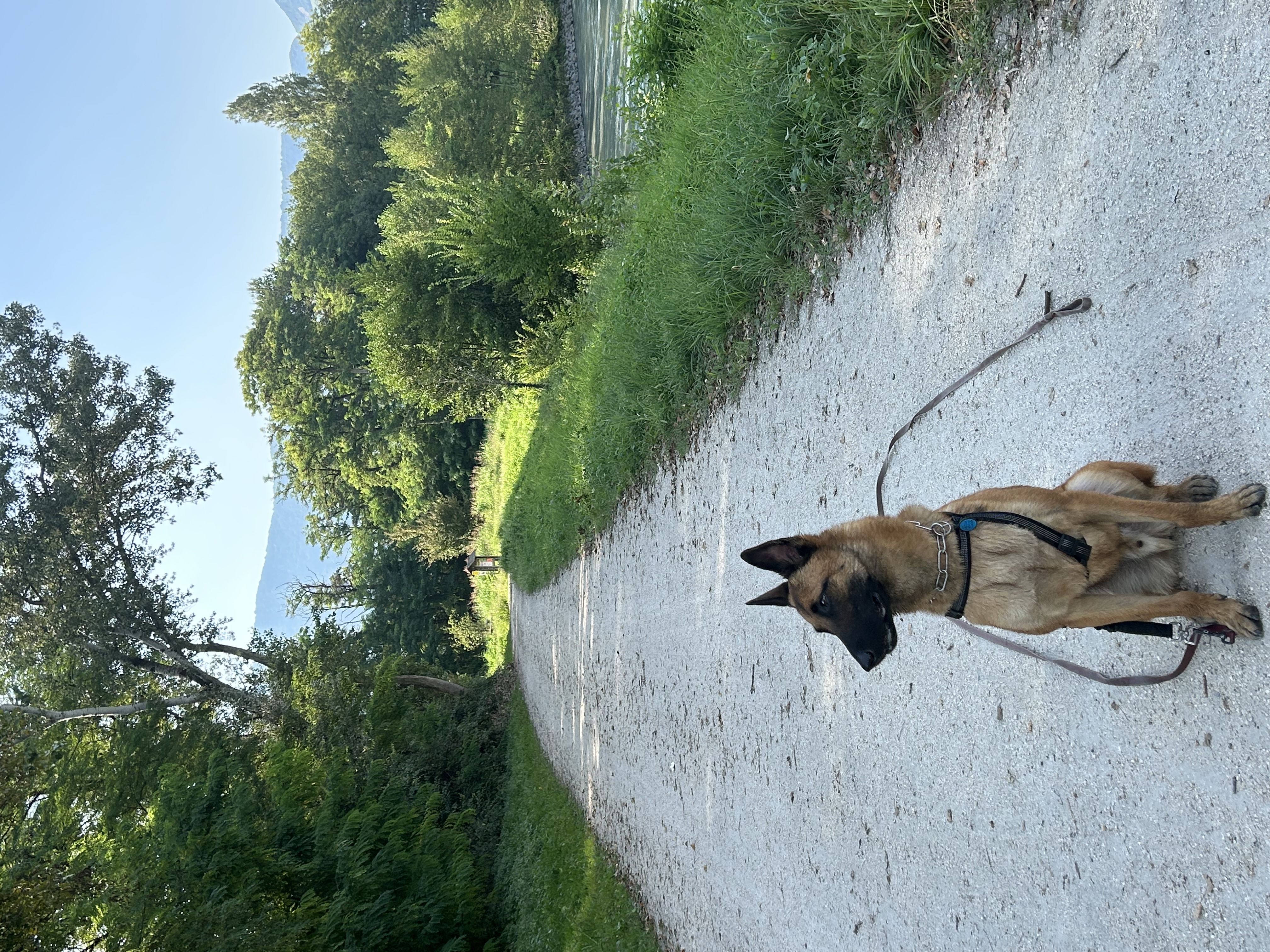image-8